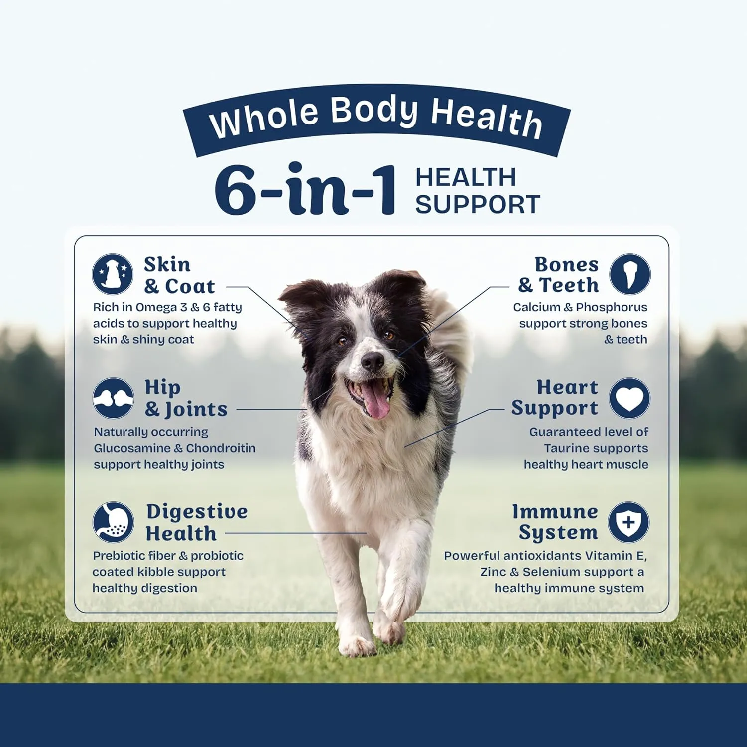 Natural Balance Health Protection Dry Dog Food  Whole Body Health, Easy on Digestion Dog Food Made with Lamb, Brown Rice & Pumpkin for Dogs - 24lbs.