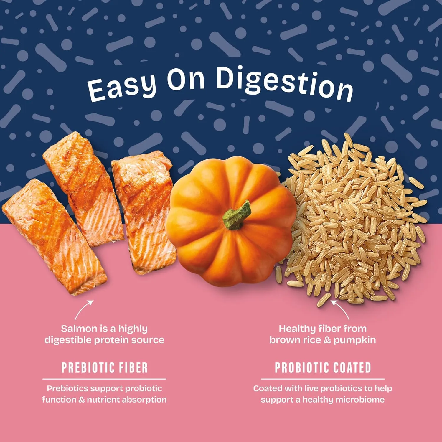 Natural Balance Health Protection Dry Dog Food  Whole Body Health, Easy on Digestion Dog Food Made with Salmon, Brown Rice & Pumpkin for Dogs - 22lbs.
