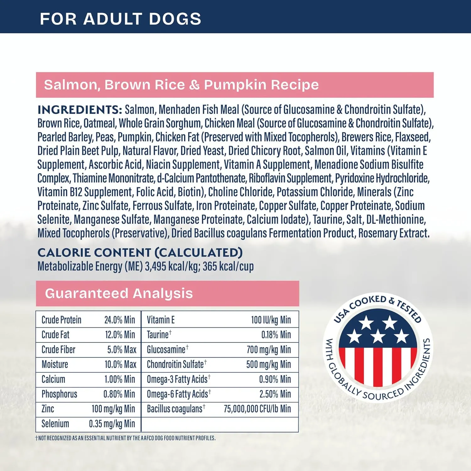 Natural Balance Health Protection Dry Dog Food  Whole Body Health, Easy on Digestion Dog Food Made with Salmon, Brown Rice & Pumpkin for Dogs - 22lbs.