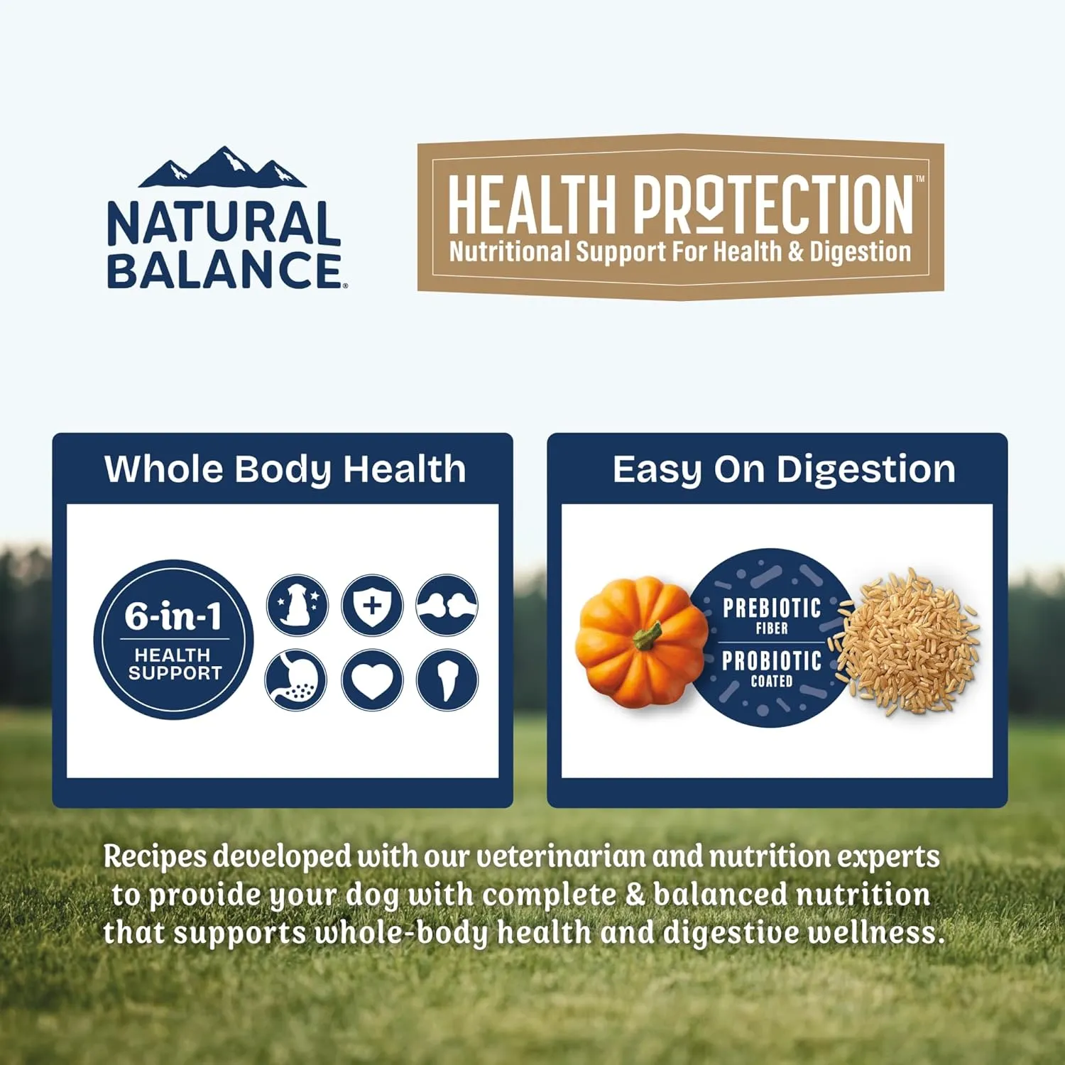 Natural Balance Health Protection Dry Dog Food  Whole Body Health, Easy on Digestion Dog Food Made with Salmon, Brown Rice & Pumpkin for Dogs - 22lbs.