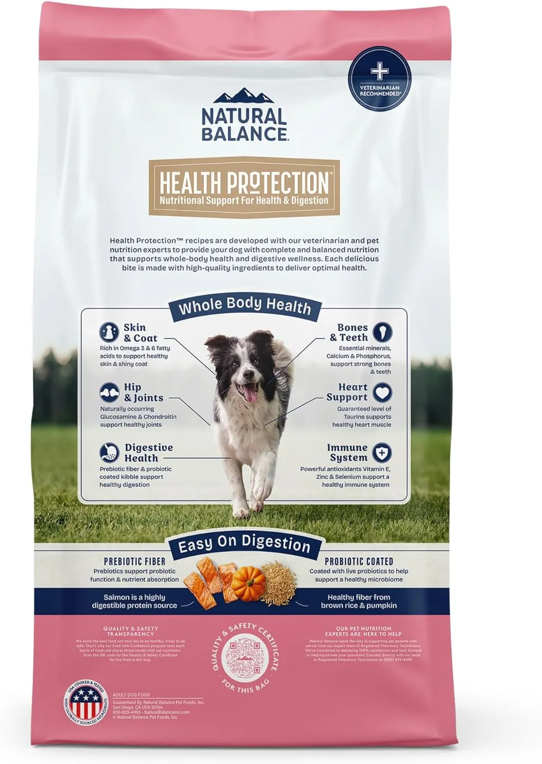 Natural Balance Health Protection Dry Dog Food  Whole Body Health, Easy on Digestion Dog Food Made with Salmon, Brown Rice & Pumpkin for Dogs - 22lbs.