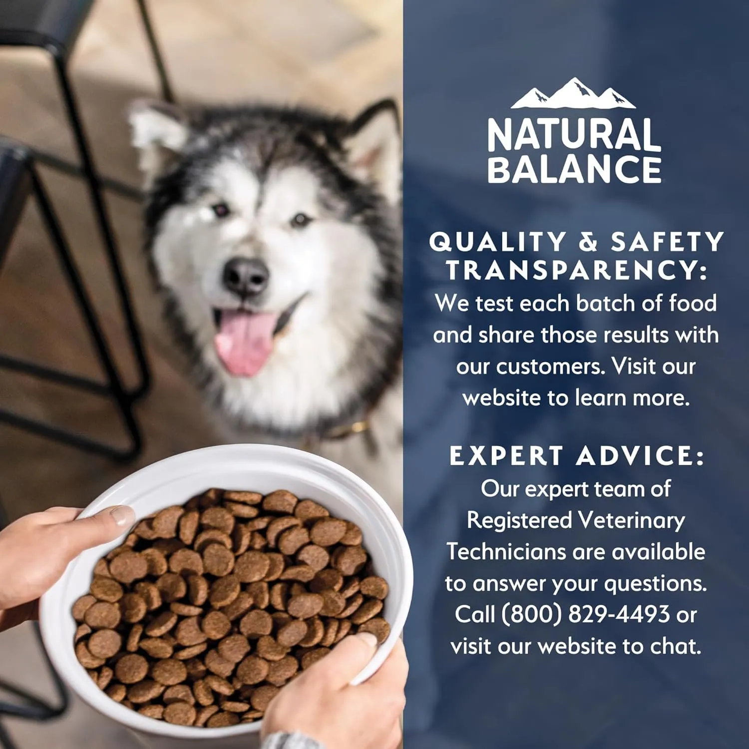 Natural Balance Health Protection Dry Dog Food  Whole Body Health, Easy on Digestion Dog Food Made with Salmon, Brown Rice & Pumpkin for Dogs - 22lbs.