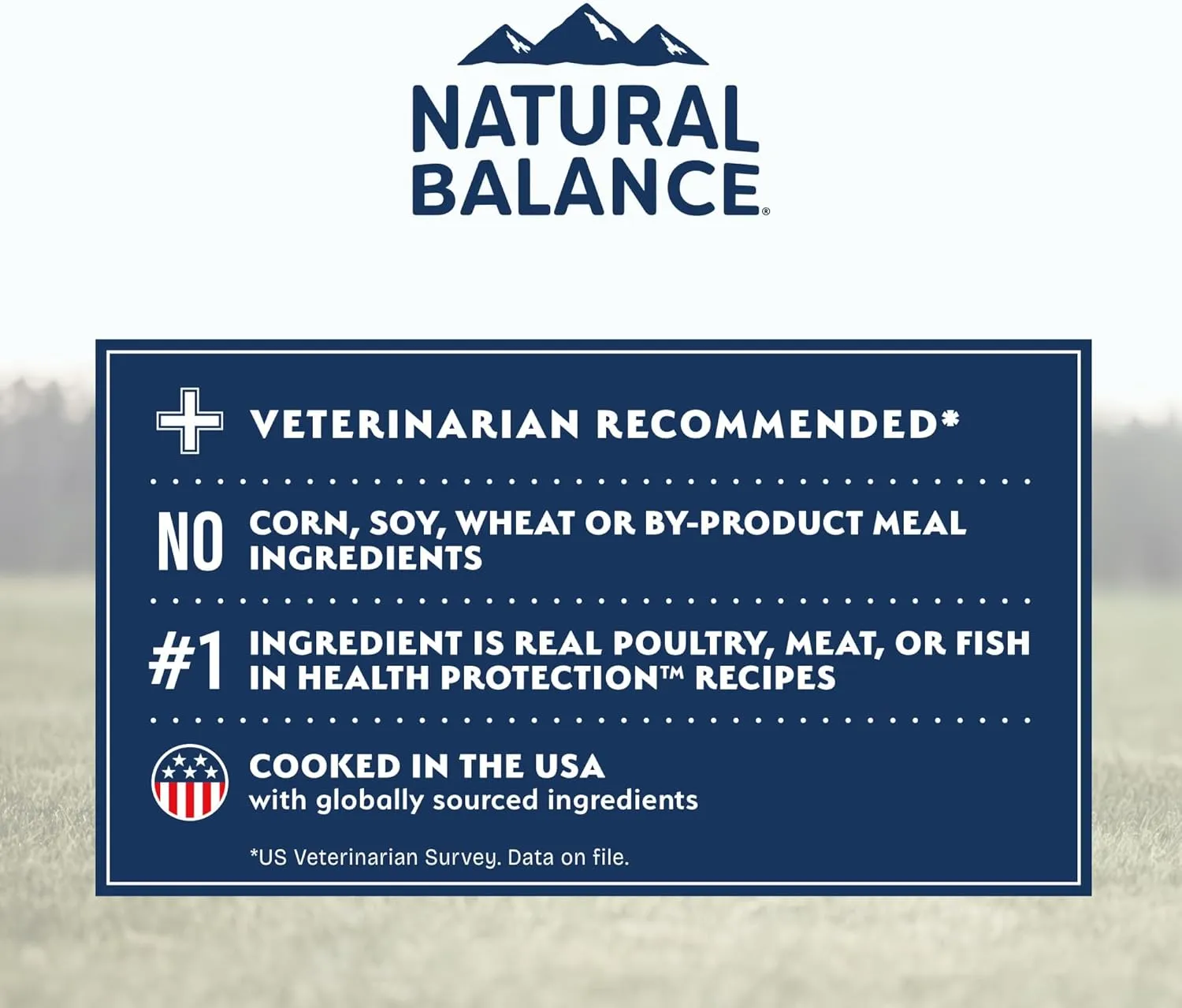 Natural Balance Health Protection Dry Dog Food  Whole Body Health, Easy on Digestion Dog Food Made with Salmon, Brown Rice & Pumpkin for Dogs - 22lbs.
