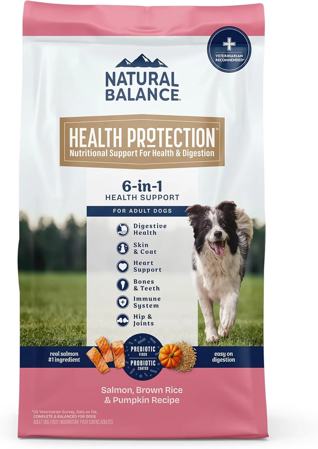 Natural Balance Health Protection Dry Dog Food  Whole Body Health, Easy on Digestion Dog Food Made with Salmon, Brown Rice & Pumpkin for Dogs - 22lbs.