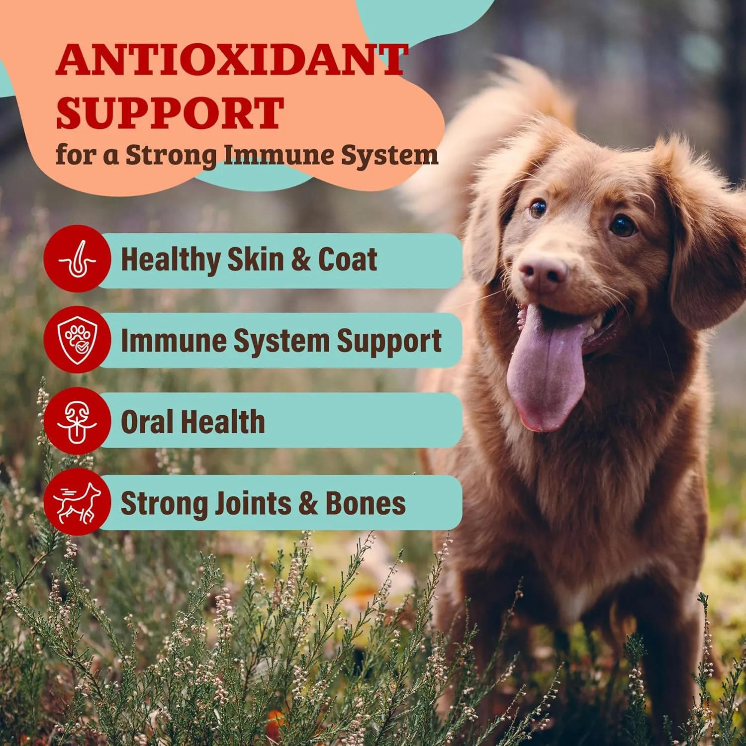 Natural Dog Company Dog Food Topper, Antioxidant Berry Vitamins & Superfood Meal Topper Supplement, Holistic Nutrition, Dog Food Seasoning, Immune Support, All Breeds, Ages, & Sizes of Dogs, 8oz Bag