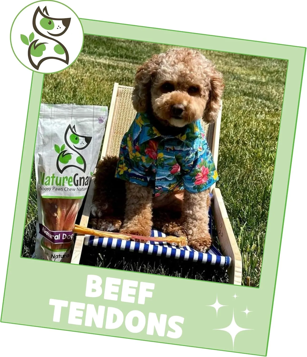 Nature Gnaws Beef Tendons for Dogs 7-11" (12 Count) - Long Lasting for Aggressive Chewers & Large Dogs - Natural Beef Jerky Dog Chew Bones - Rawhide Free