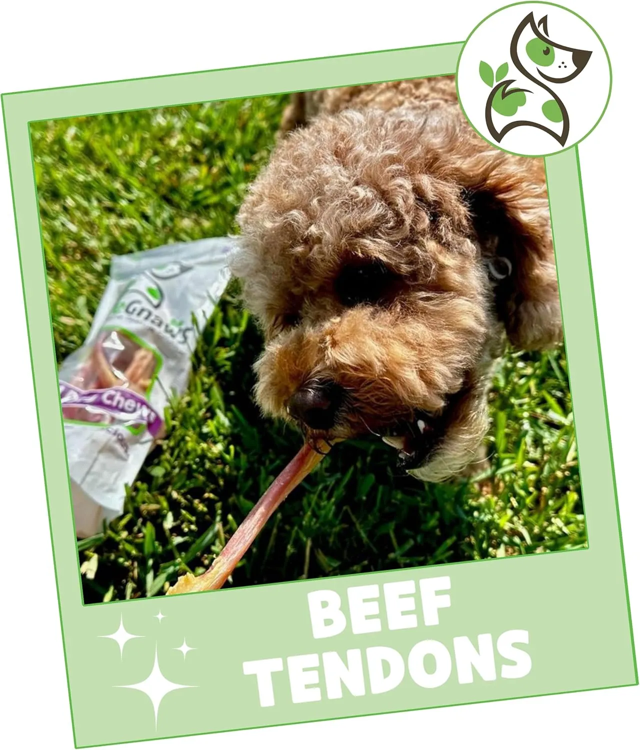 Nature Gnaws Beef Tendons for Dogs 7-11" (12 Count) - Long Lasting for Aggressive Chewers & Large Dogs - Natural Beef Jerky Dog Chew Bones - Rawhide Free