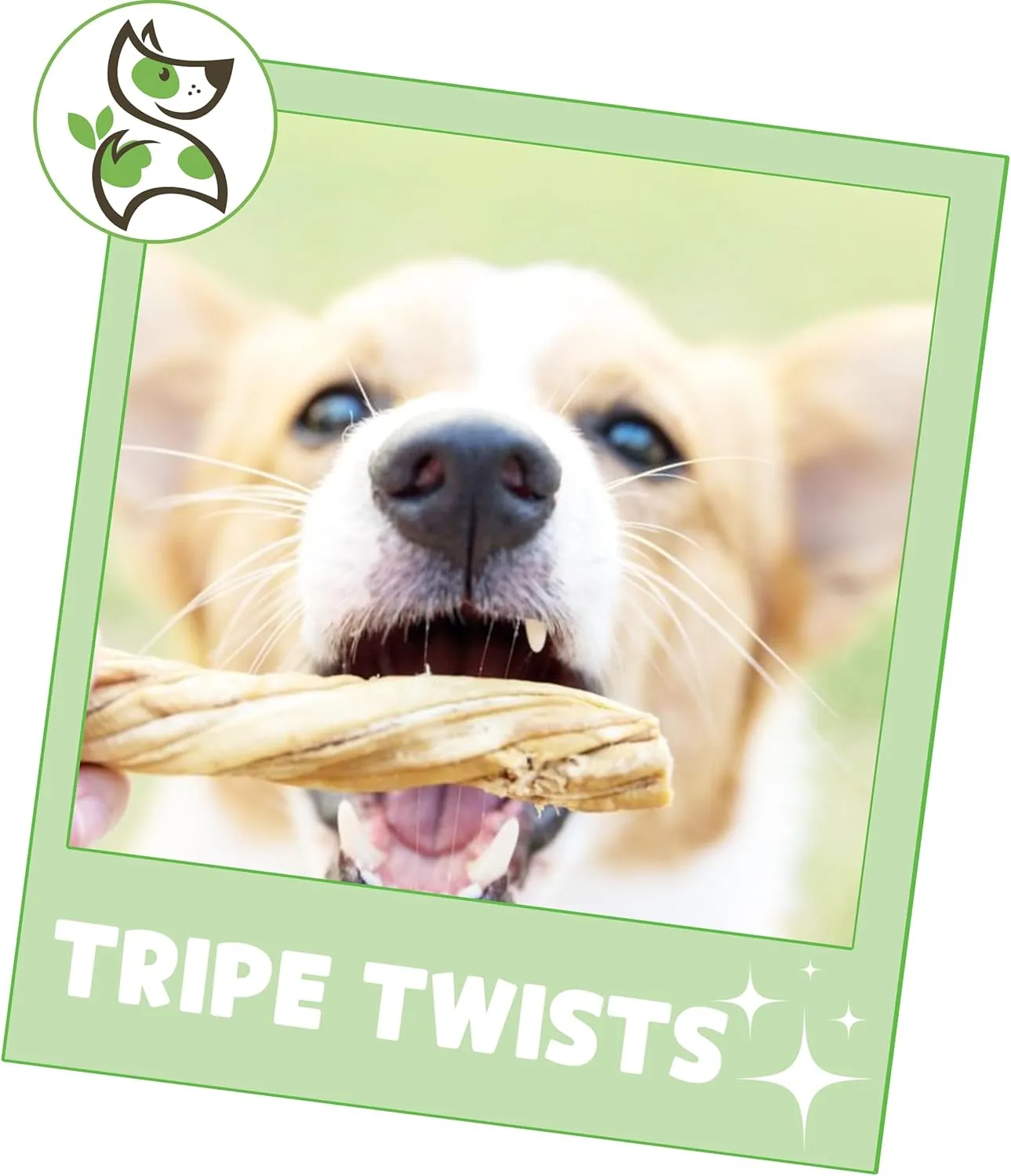 Nature Gnaws Tripe Twists for Dogs 4-5" (10 Count) - Crunchy Grain Free Reward Snack for Small, Medium & Large Breeds - Natural Beef Dog Chew Treats - Rawhide Free
