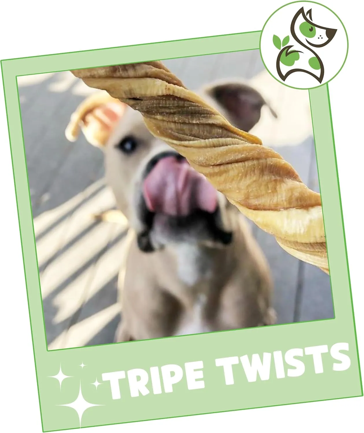 Nature Gnaws Tripe Twists for Dogs 4-5" (10 Count) - Crunchy Grain Free Reward Snack for Small, Medium & Large Breeds - Natural Beef Dog Chew Treats - Rawhide Free