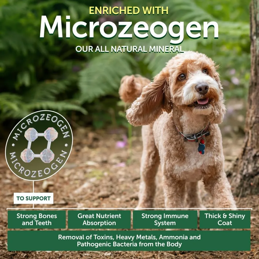 Nature's Protection Superior Care Grain-Free Dry Dog Food - High Protein, Coat Shine Dog Food for Small & Mini Breeds Red Coated All Life Stages Dogs, Fresh Pet Meal, Salmon, 3.3 lb