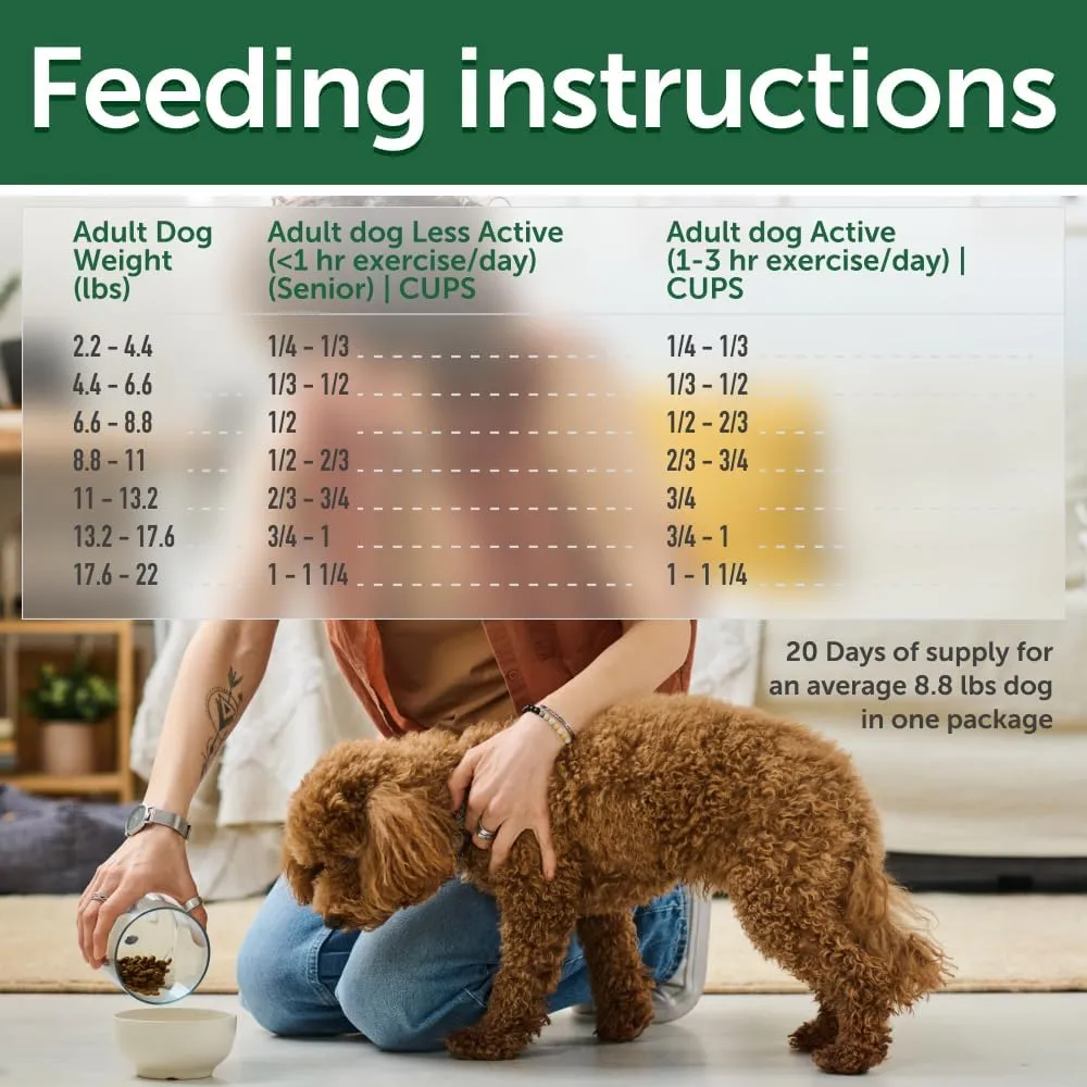 Nature's Protection Superior Care Grain-Free Dry Dog Food - High Protein, Coat Shine Dog Food for Small & Mini Breeds Red Coated All Life Stages Dogs, Fresh Pet Meal, Salmon, 3.3 lb