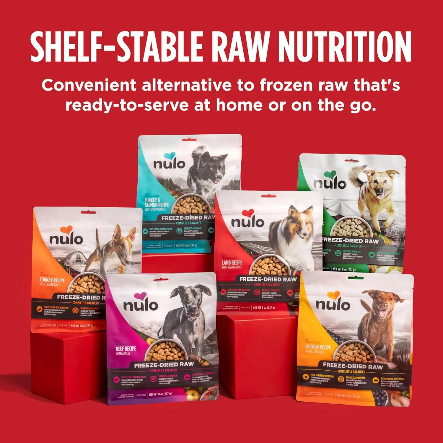 Nulo Freeze-Dried Raw Turkey Recipe with Cranberries Complete and Balanced Dry Dog Food Kibble, 8 Ounce Bag
