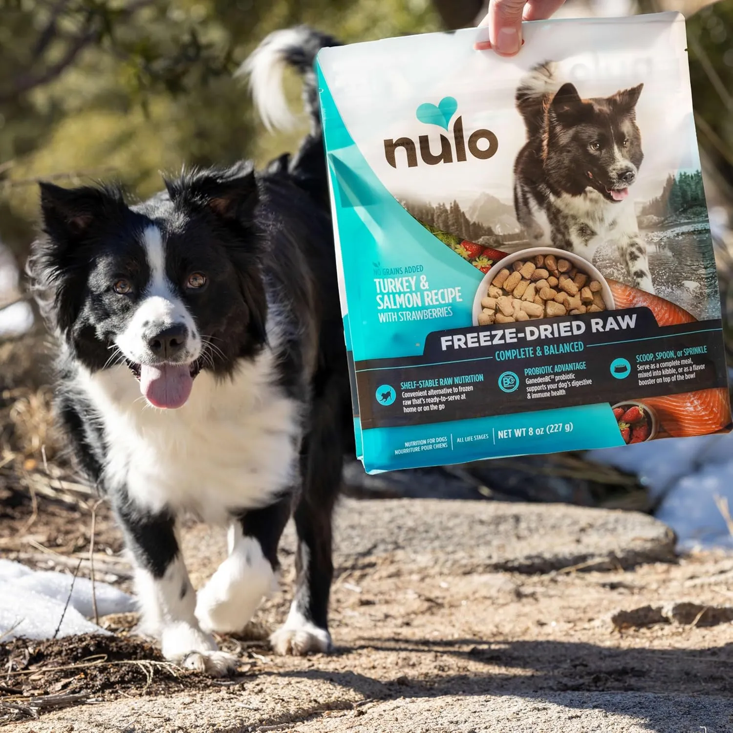 Nulo Freeze-Dried Raw Turkey Recipe with Cranberries Complete and Balanced Dry Dog Food Kibble, 8 Ounce Bag