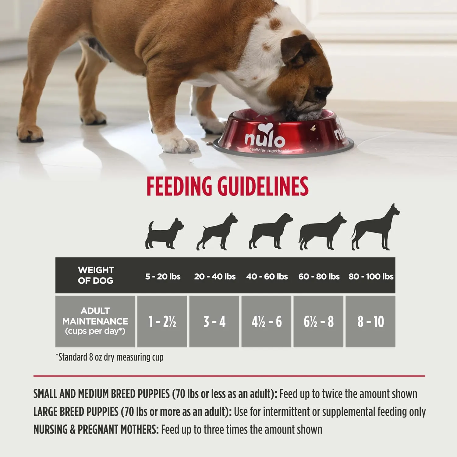 Nulo Freeze-Dried Raw Turkey Recipe with Cranberries Complete and Balanced Dry Dog Food Kibble, 8 Ounce Bag