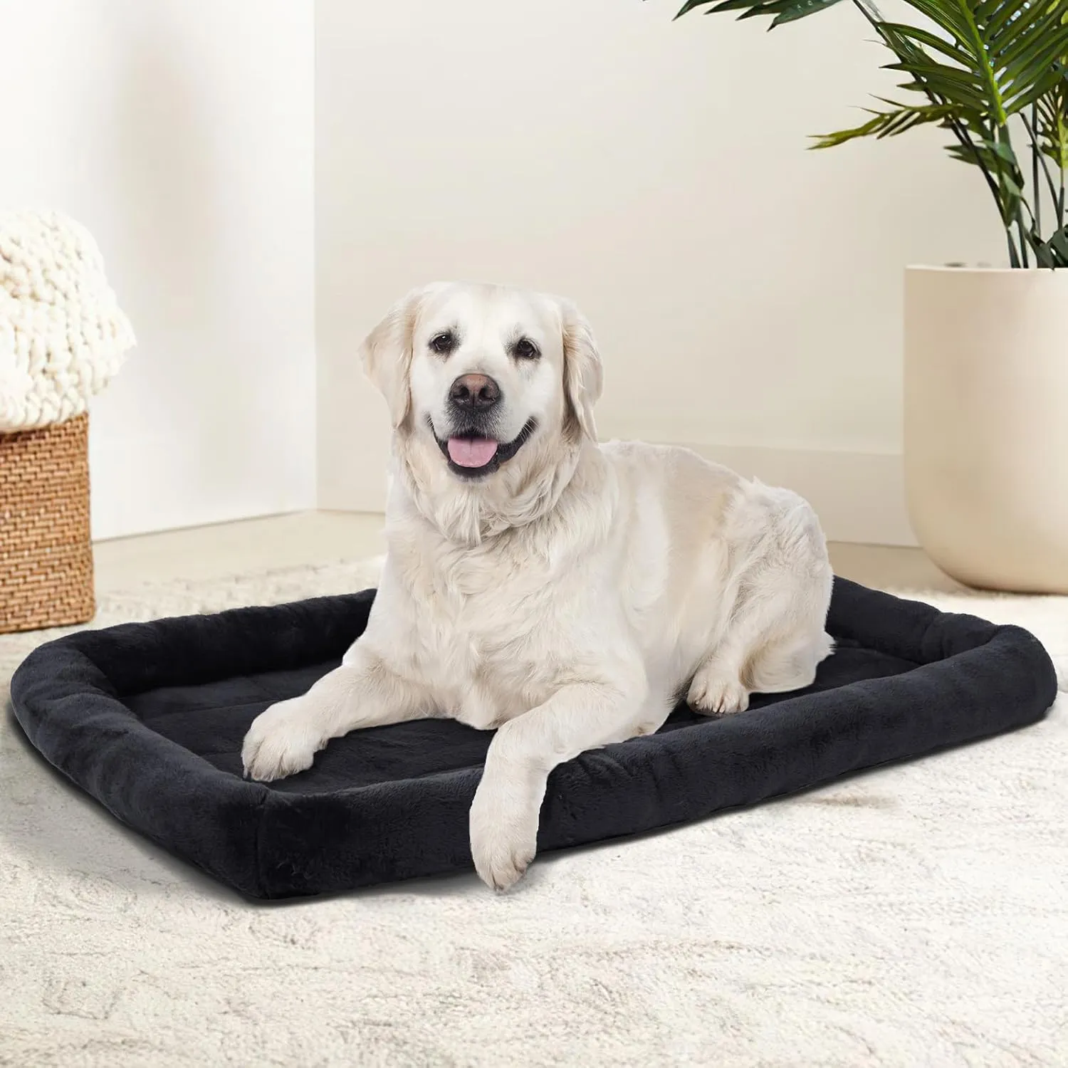 Patas Lague Bolster Dog Bed for Medium Dogs 36''x24'', Soft Warm Foam Pet Sofa Bed, Machine Washable Pet Cat Crate Mat for Medium Breeds, Black