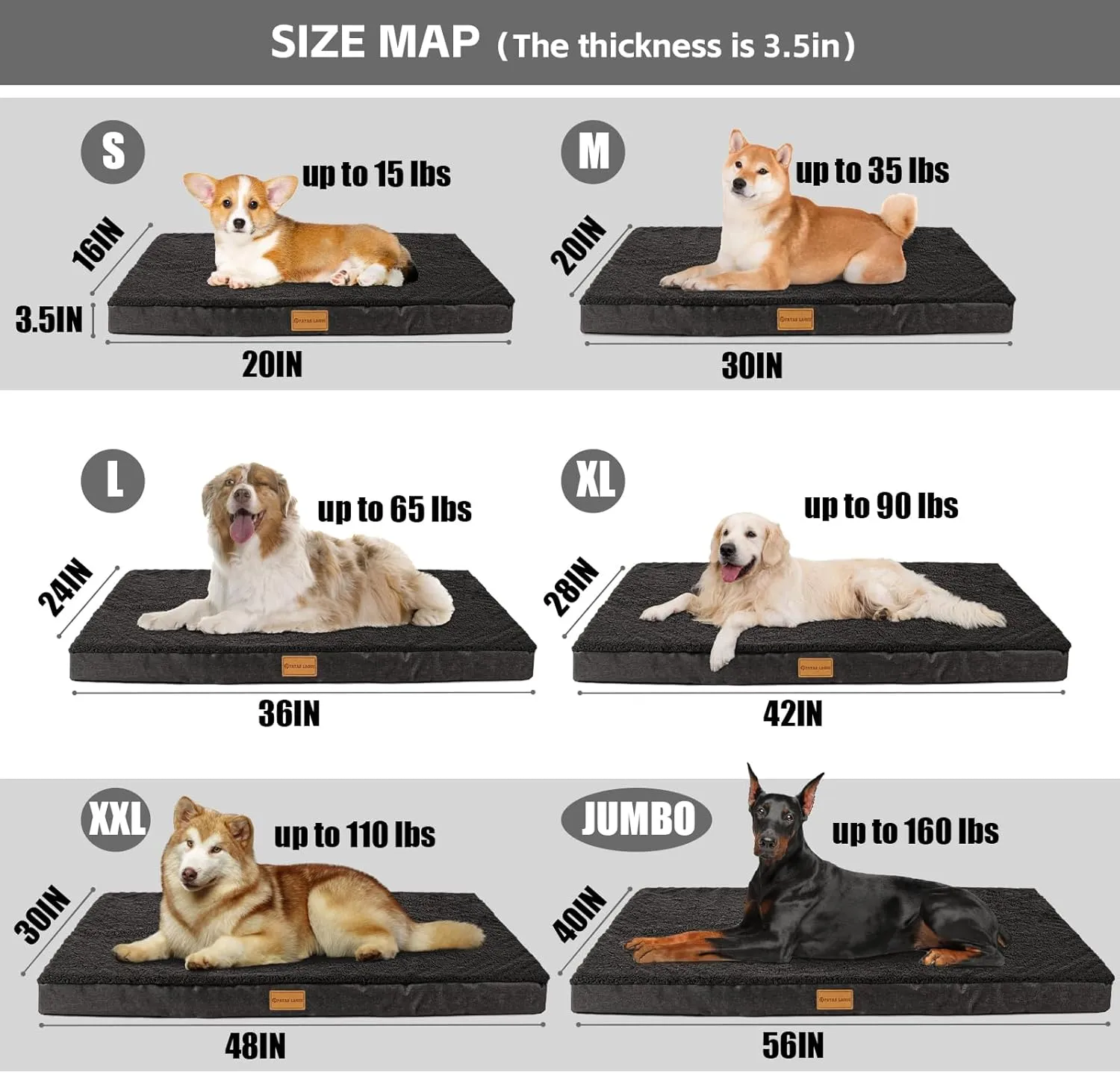 Patas Lague Orthopedic Dog Bed for Large Dogs, Soft Comfortable Waterproof Egg Crate Foam Medium Pet Beds Mat with Removable Washable Cover, 36''X24'' Black