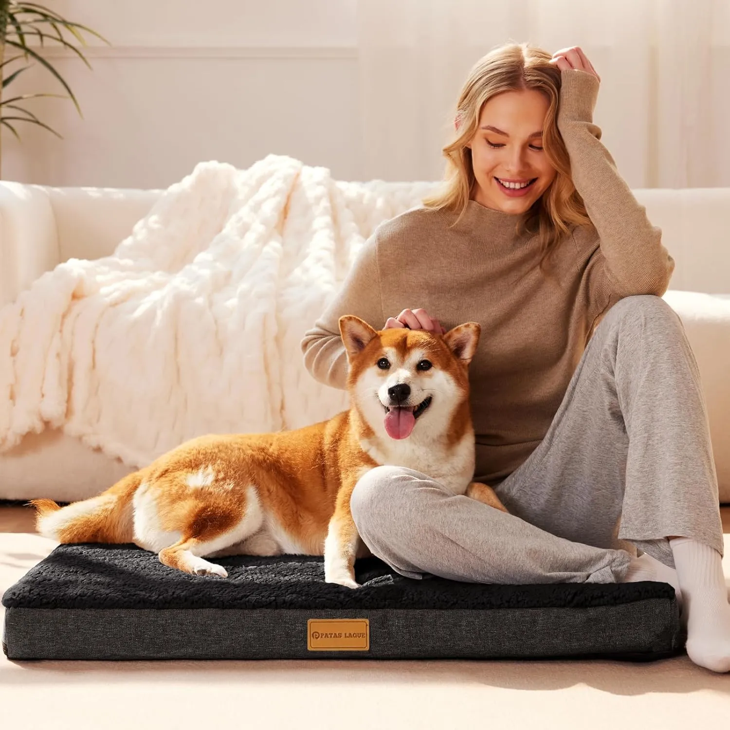 Patas Lague Orthopedic Dog Bed for Large Dogs, Soft Comfortable Waterproof Egg Crate Foam Medium Pet Beds Mat with Removable Washable Cover, 36''X24'' Black