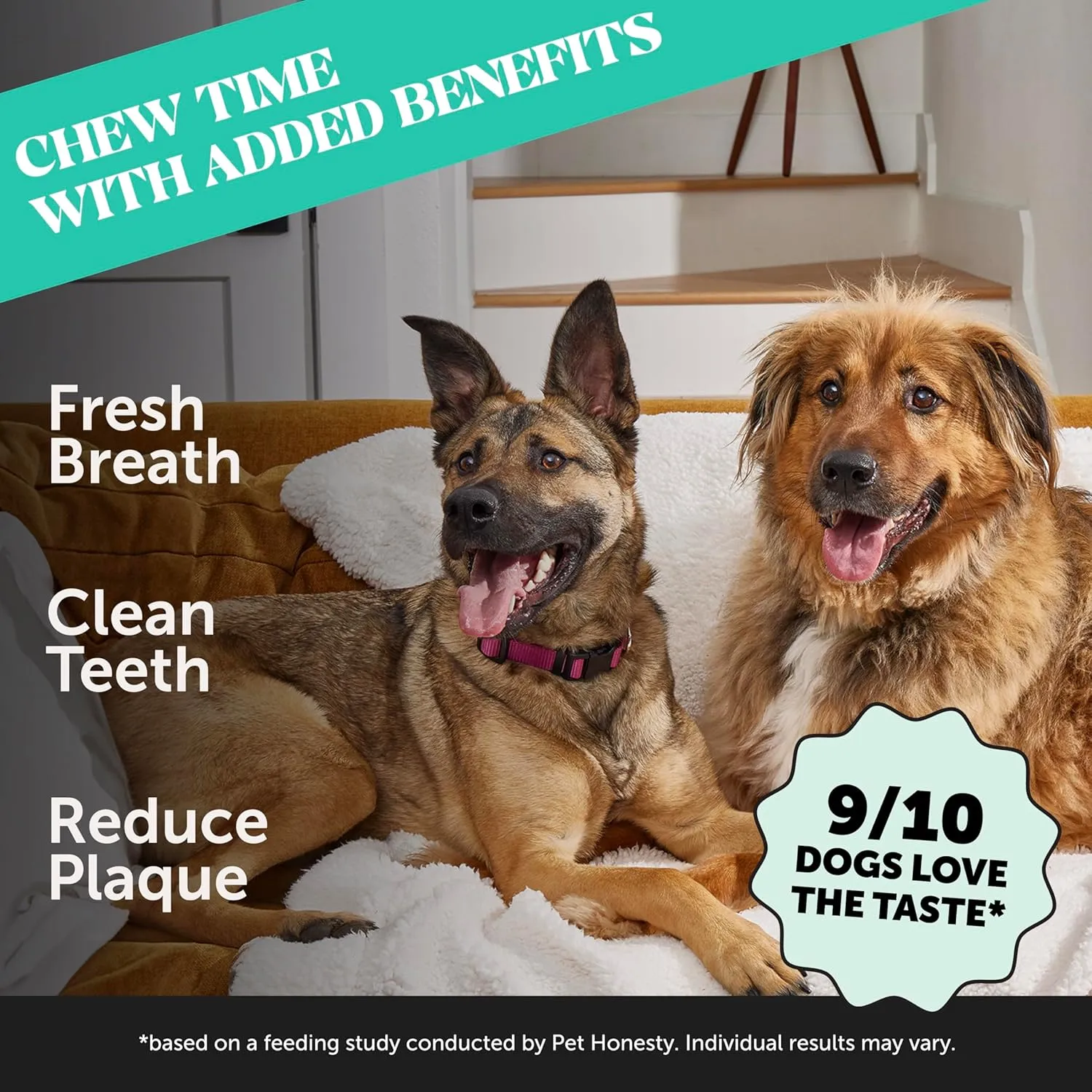 Pet Honesty Dental Health Fresh Sticks - Oral Hygiene Dental Sticks for Dogs - Dental Dog Chews - Freshen Dog Breath, Reduce Plaque   Tartar - 16 Sticks