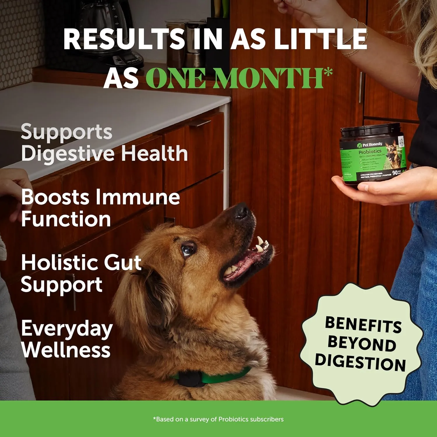 Pet Honesty Probiotics for Dogs for Occasional Diarrhea & Bowel Support, Digestive Enzymes with Prebiotics for Gut Health for Dogs, Immunity Health & Itch Relief (Pumpkin 90 ct)