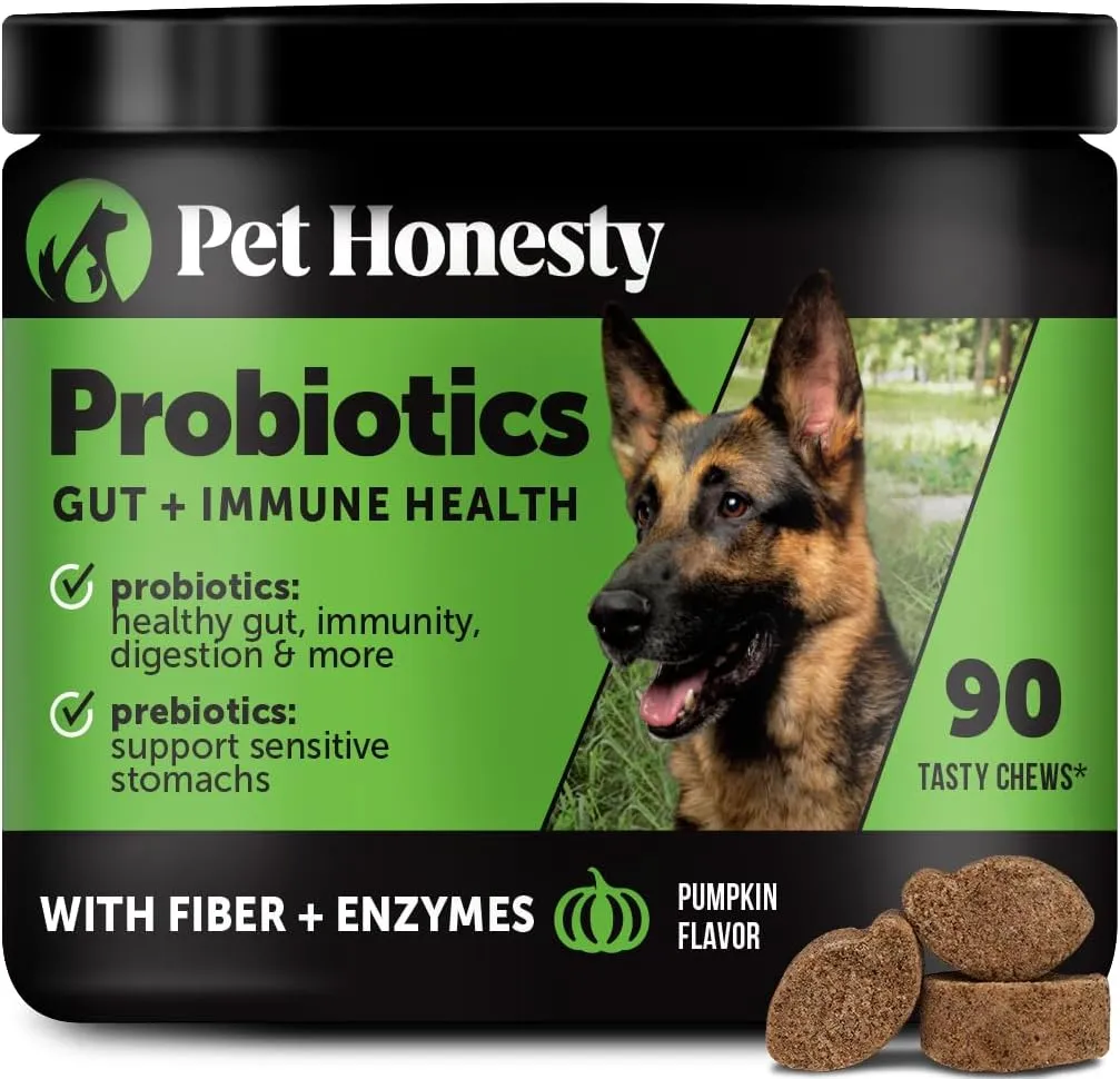 Pet Honesty Probiotics for Dogs for Occasional Diarrhea & Bowel Support, Digestive Enzymes with Prebiotics for Gut Health for Dogs, Immunity Health & Itch Relief (Pumpkin 90 ct)