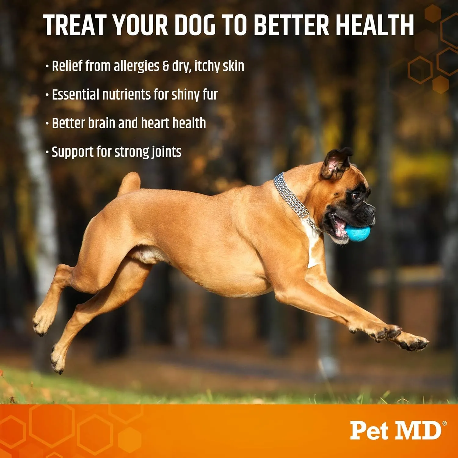 Pet MD Salmon Omega Bites for Dogs - Skin and Coat Supplement with Omega 3 & 6 for Dogs Plus DHA & EPA - Promotes Allergy & Dry Skin Relief - 120 ct
