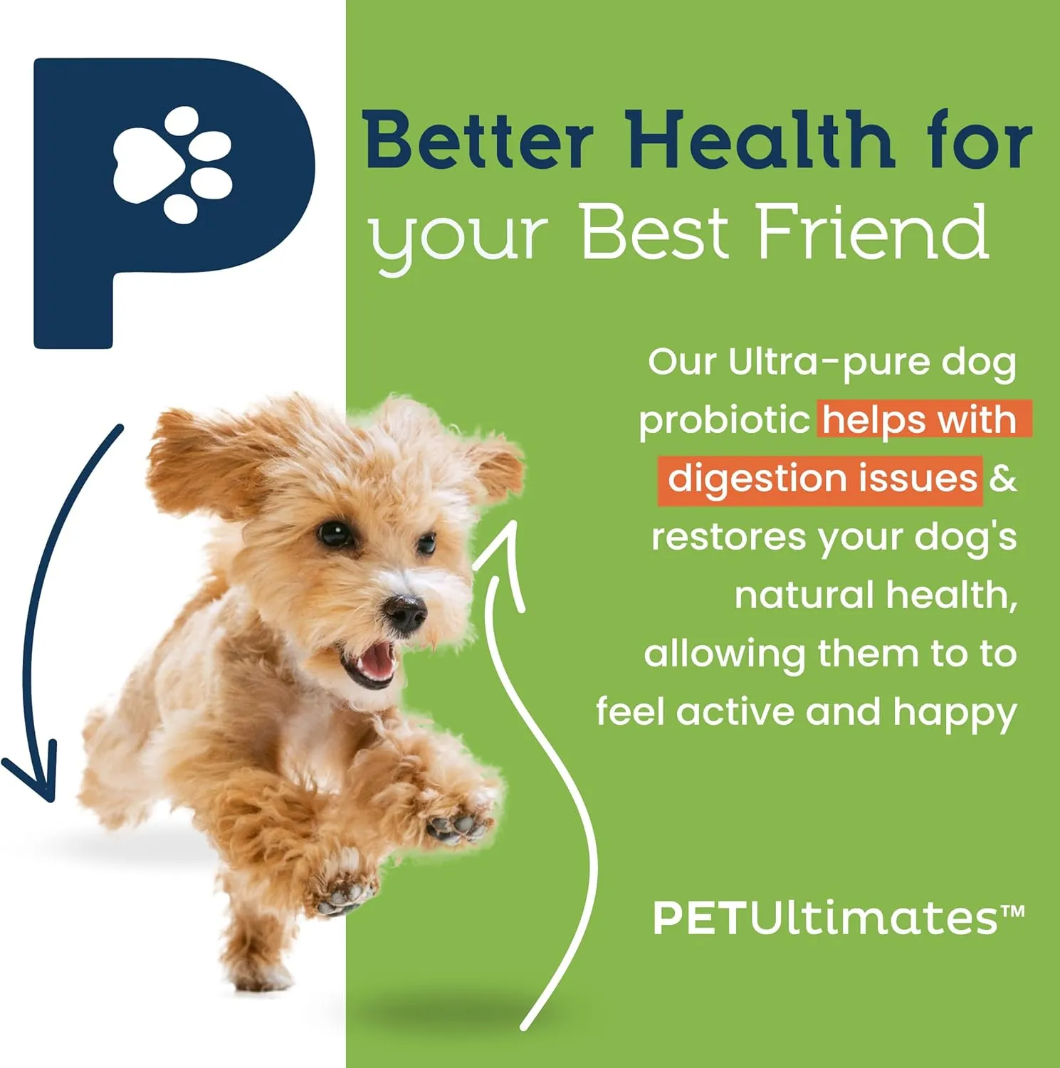 Pet Ultimates Probiotics for Dogs  22-Species Dog Probiotics for Digestive Support & Antibiotics Recovery  Skin and Coat Supplement, Enhances Vitality  Dog Health Supplies (1 Pack)