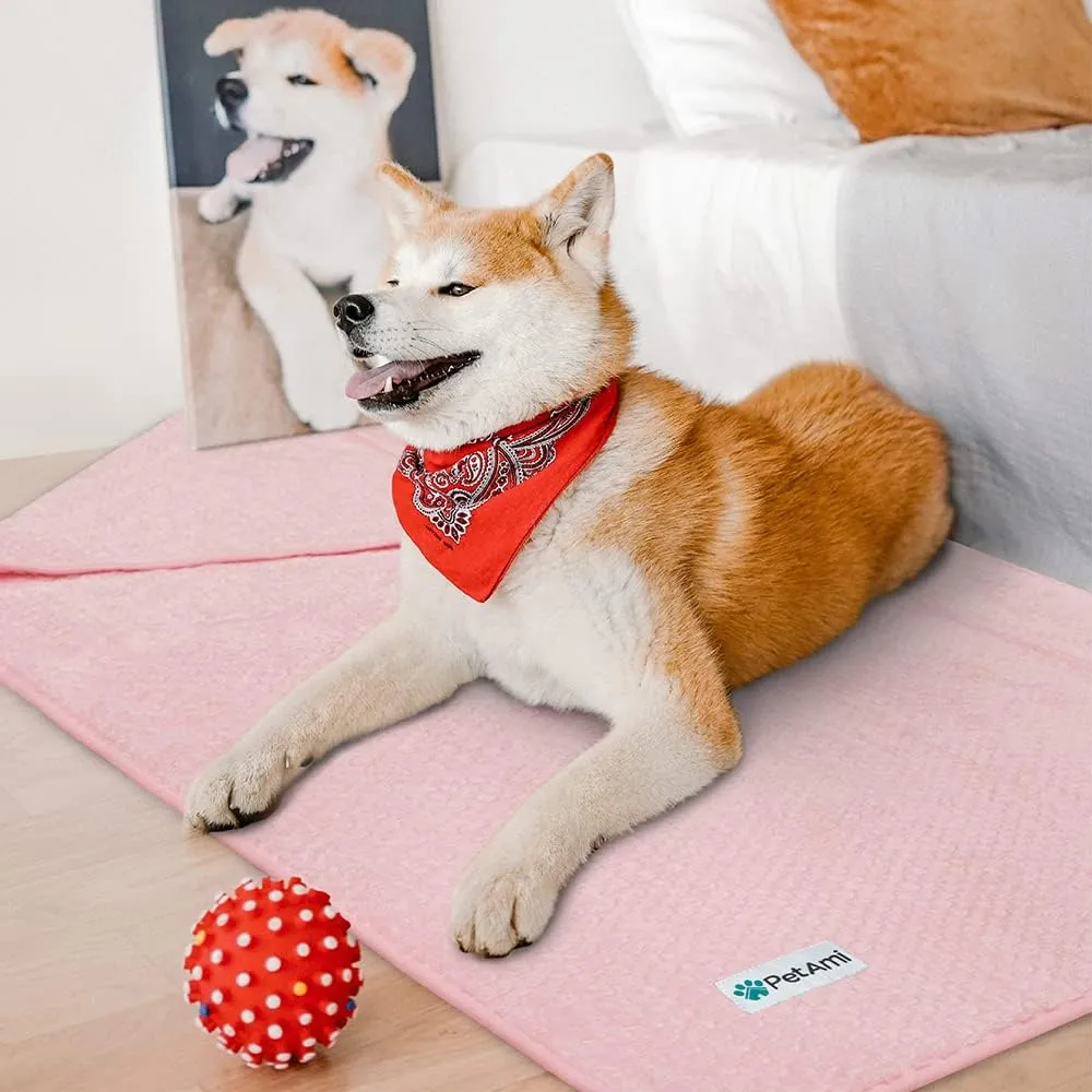 PetAmi Waterproof Dog Blanket, Leakproof Puppy Blanket for Medium Large Dogs, Furniture Sofa Couch Cover Protector, Fleece Pet Throw for Indoor Cat Kitten, Reversible Washable Soft Plush, 40x60 Pink