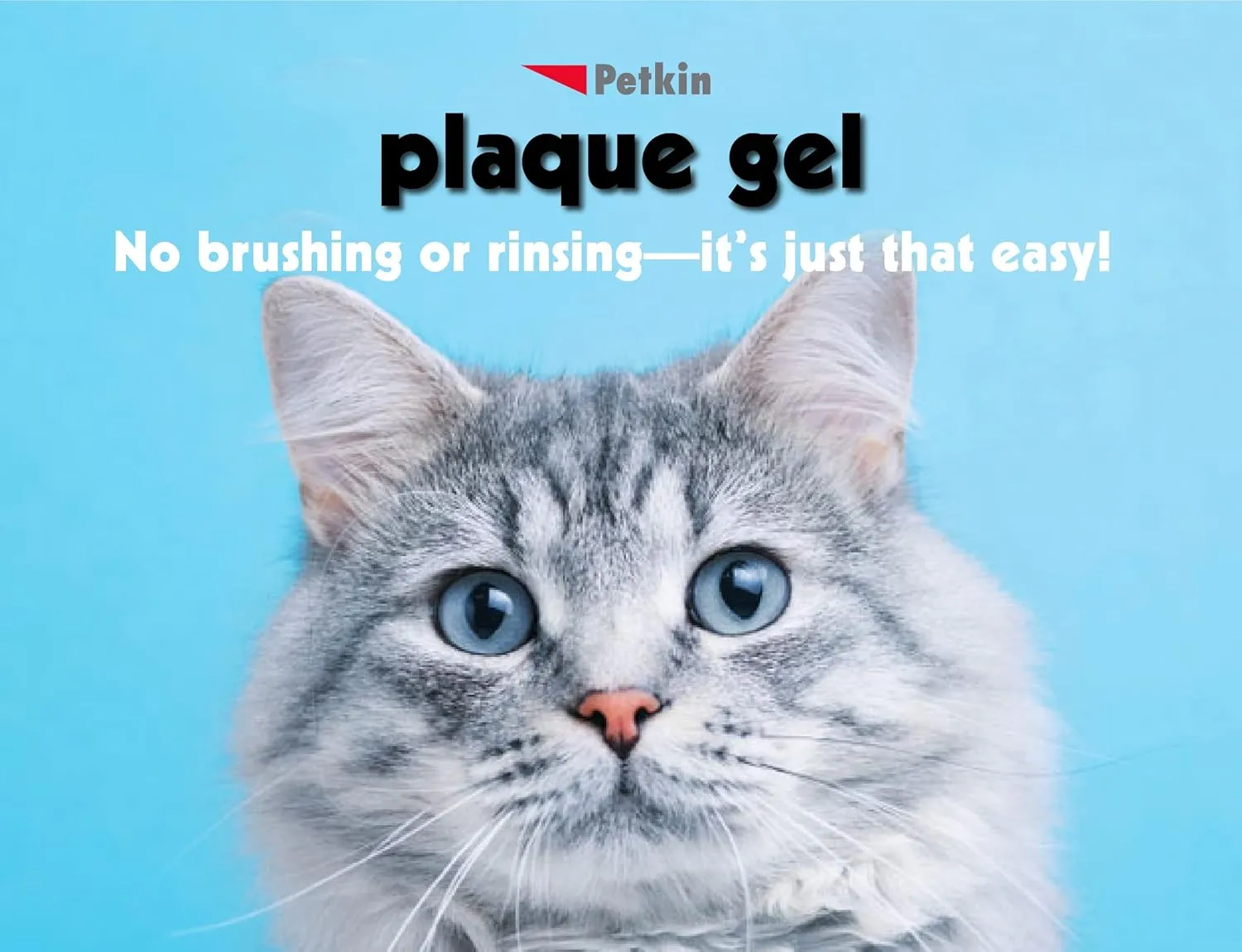 Petkin Plaque Remover Gel  Cleans Teeth and Gums, Removes Plaque and Tartar - Freshens Breath and Whitens Teeth with Baking Soda - Ideal for Daily Use, No Brushing or Rinsing - 4 fl oz