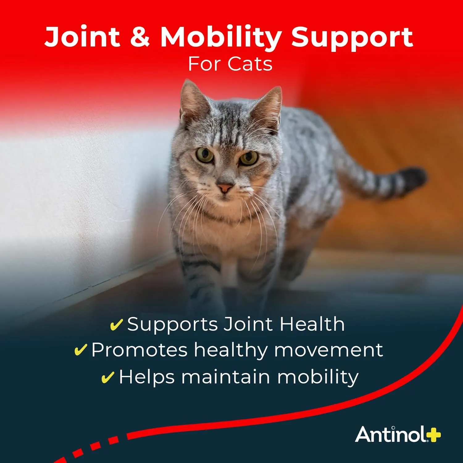 Plus, Mobility, Hip, and Joint Supplement for Cats, Green-Lipped Mussels and Krill Oil - Cat Joint Supplement, 30 Soft Gels
