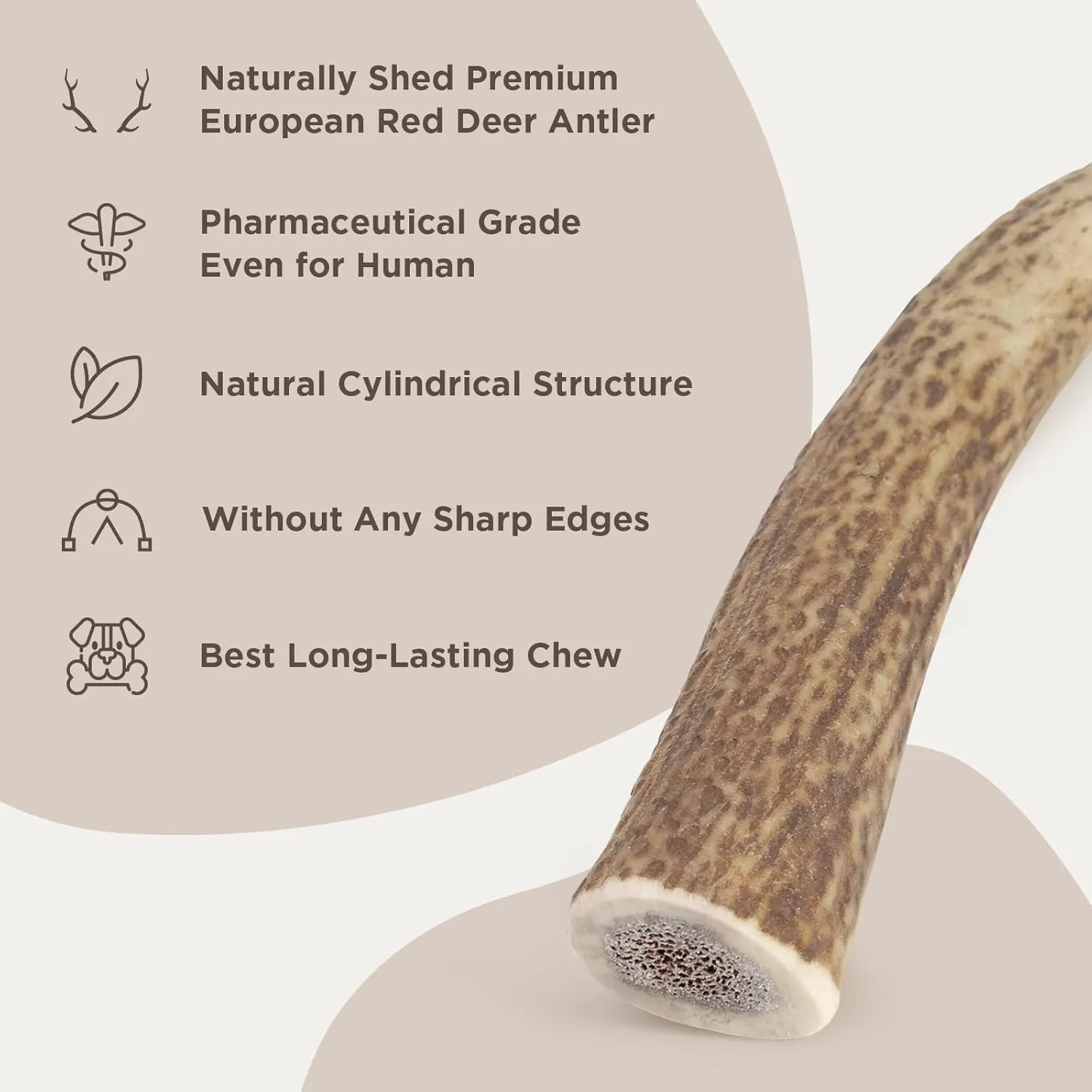 Premium Deer Antlers for Dogs  Natural Dental Chew for Aggressive Chewers  Long-Lasting Antler Chews, Odor-Free, Mess-Free, 1 Count (Medium)