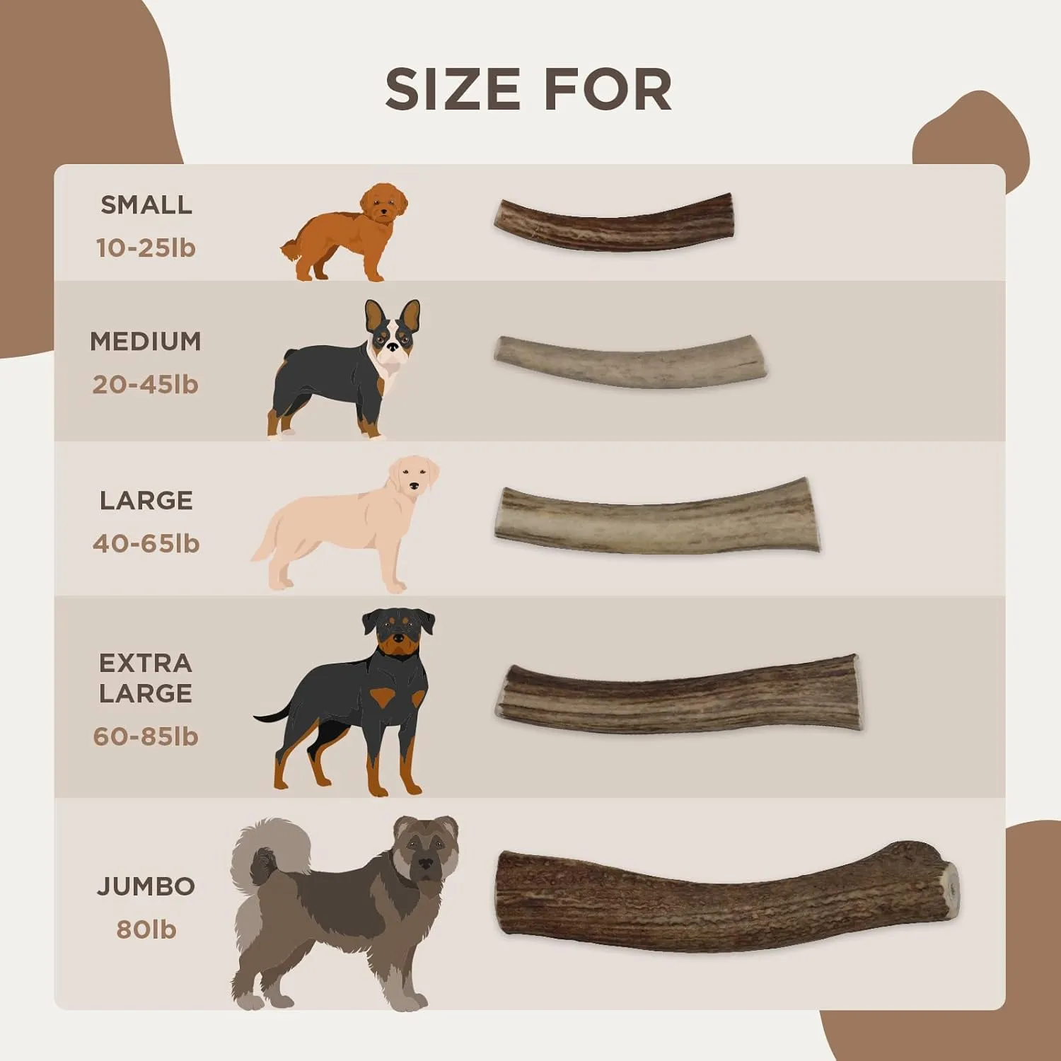 Premium Deer Antlers for Dogs  Natural Dental Chew for Aggressive Chewers  Long-Lasting Antler Chews, Odor-Free, Mess-Free, 1 Count (Medium)