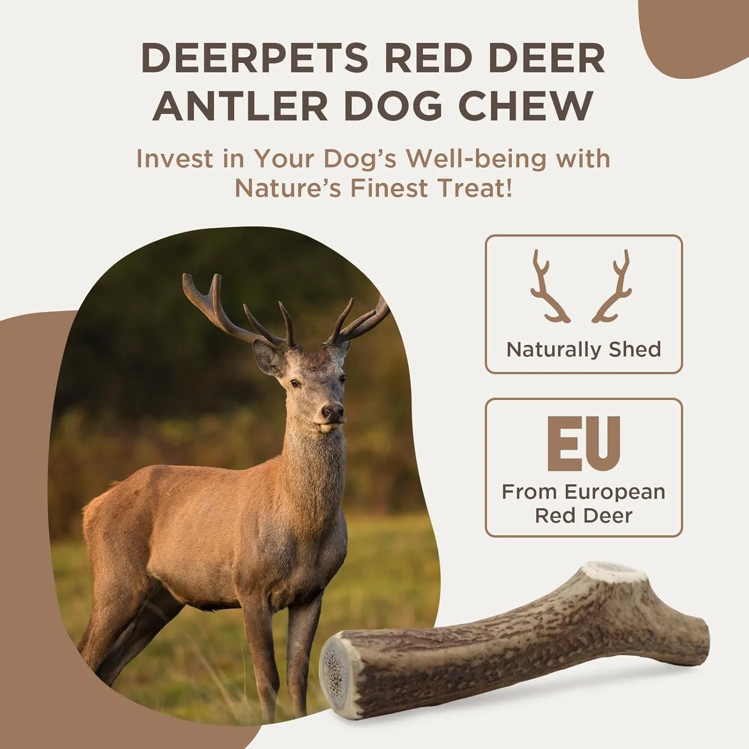 Premium Deer Antlers for Dogs  Natural Dental Chew for Aggressive Chewers  Long-Lasting Antler Chews, Odor-Free, Mess-Free, 1 Count (Medium)