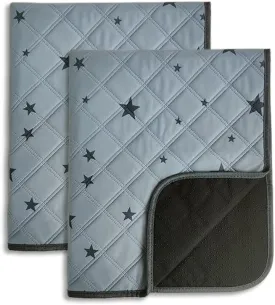 RIOUSSI Washable Pee Pads for Dogs, Reusable, Absorbent, Leakproof, Non Slip Pet Puppy Pads for Potty Training. Gray Stars, 18x24 Inch(2pack)