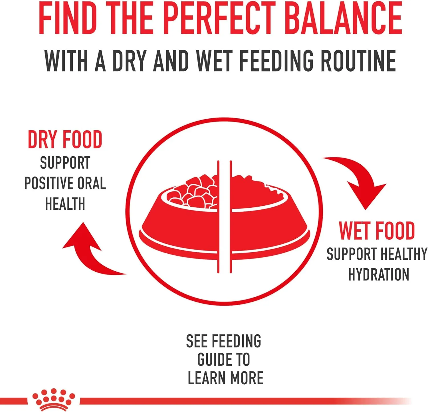 Royal Canin Shih Tzu Adult Breed Specific Dry Dog Food, 10 lb bag