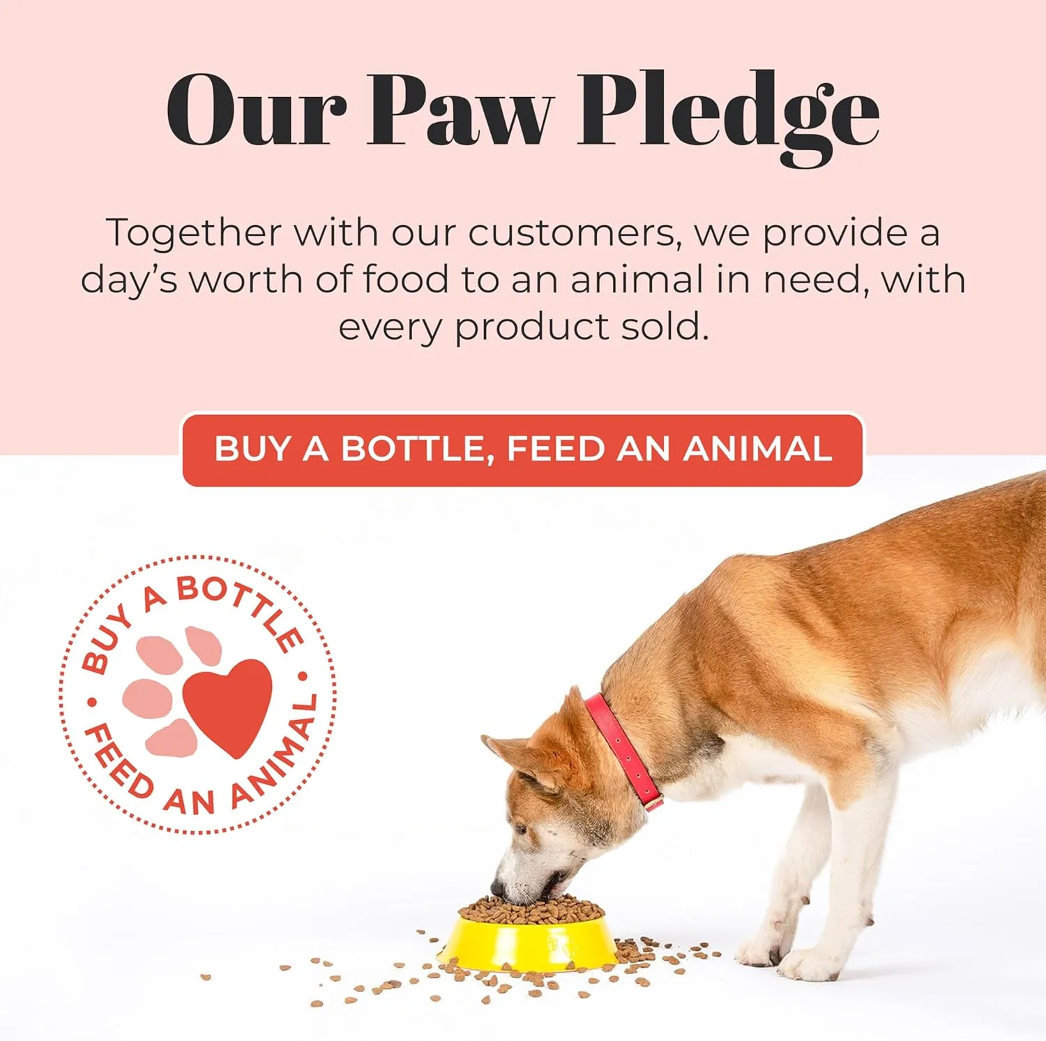 SKOUT'S HONOR Peanut Butter & Bacon Water Additive - VOHC Accepted for Tartar Control, Freshens Breath Fast, No Brushing Required, 32 oz