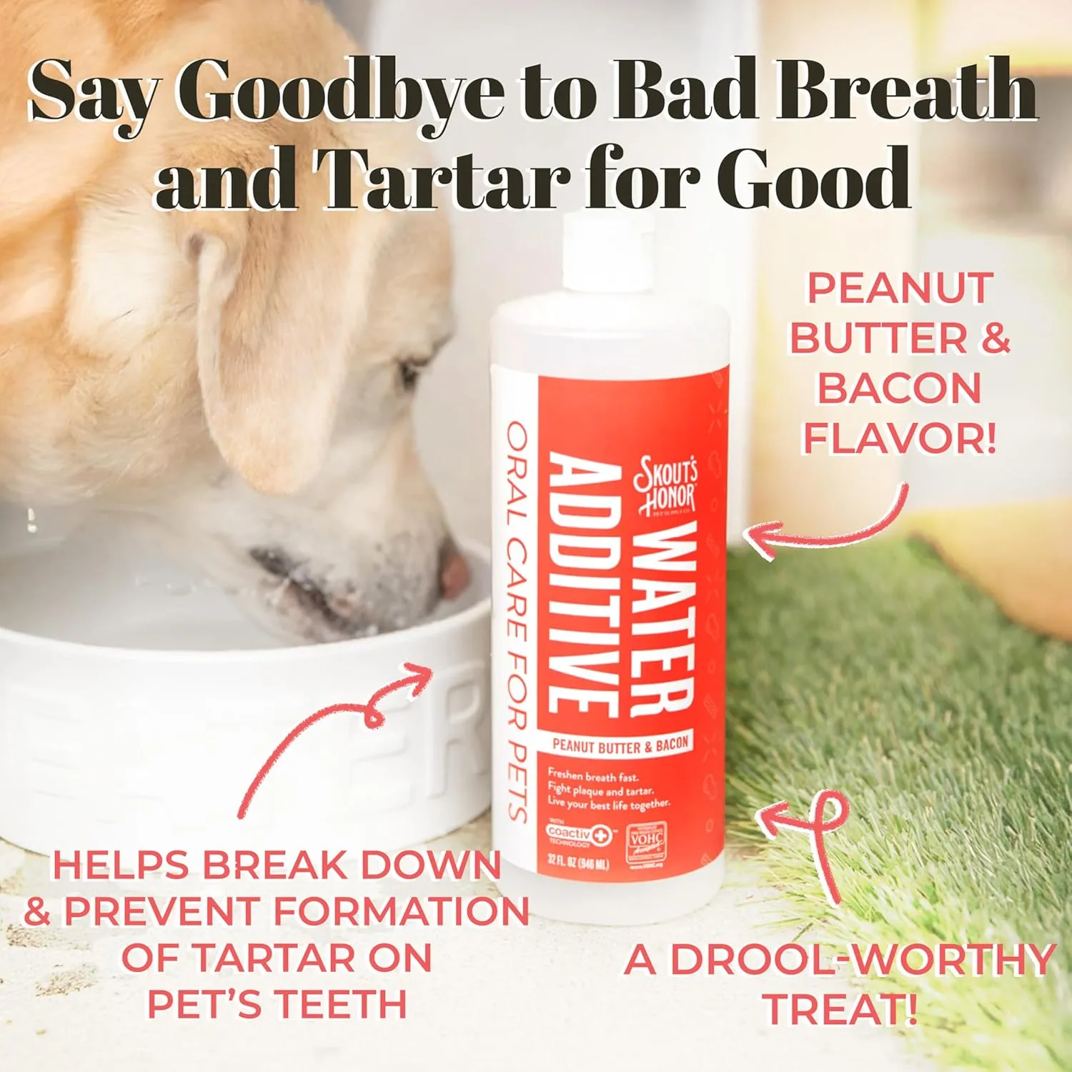 SKOUT'S HONOR Peanut Butter & Bacon Water Additive - VOHC Accepted for Tartar Control, Freshens Breath Fast, No Brushing Required, 32 oz