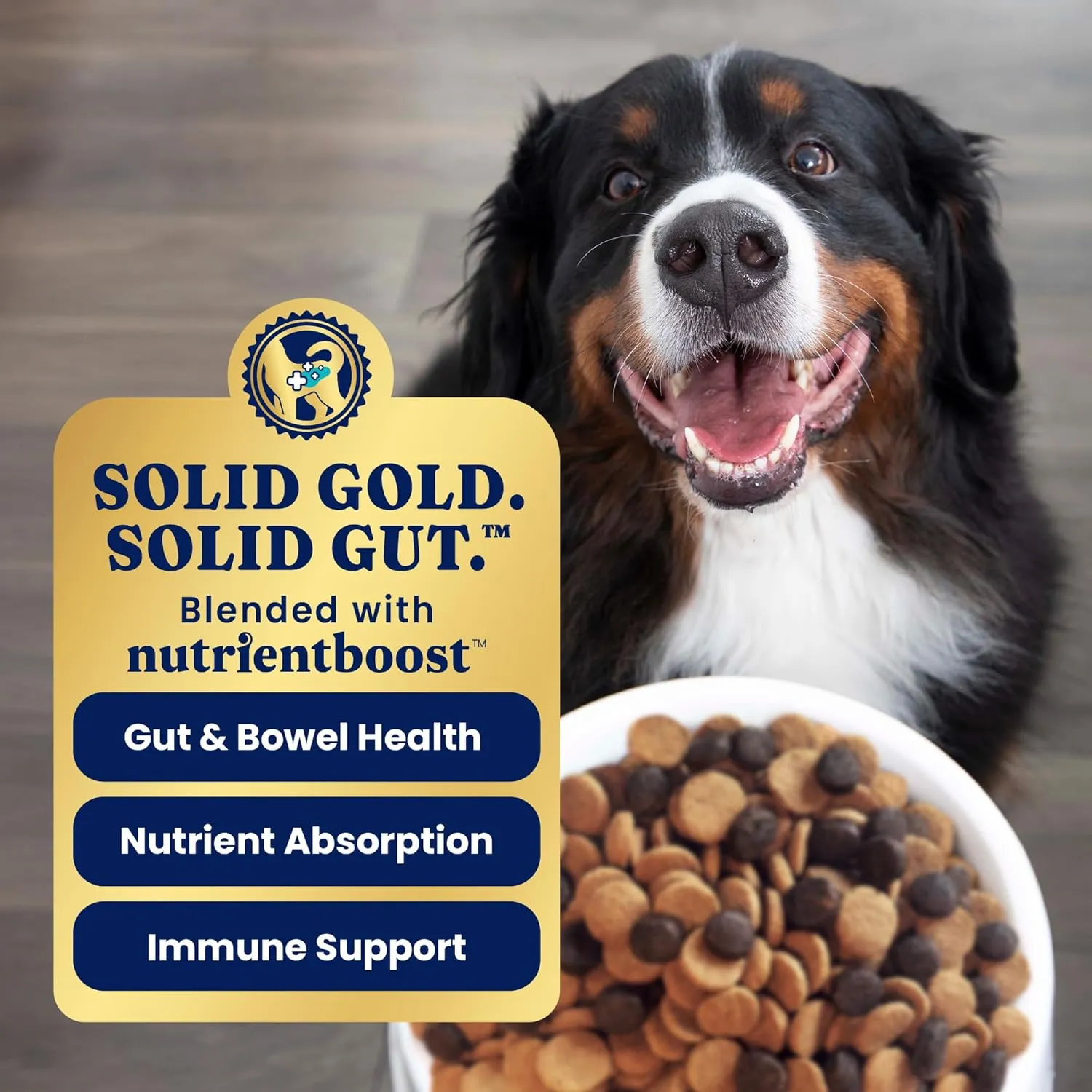 Solid Gold Dry Dog Food for Adult & Senior Dogs - Made with Real Chicken, Probiotics, & Omega 3 Fish - Grain Free Dry Dog Food for Weight Management & Better Digestion - Nutrientboost - 22 LB