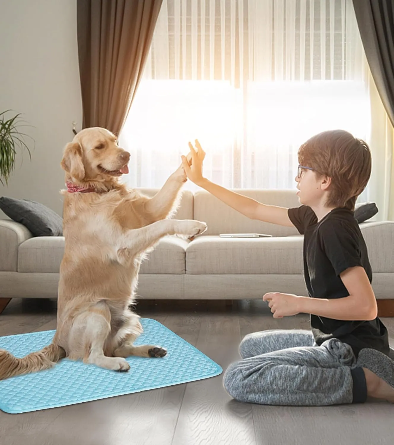 SOMOYA Dogs Cooling Mat Pet Cool Pads Blanket Sleeping Kennel Mat,Washable Ice Silk Sleep Mat Pad Breathable for Large Dogs Cats Medium