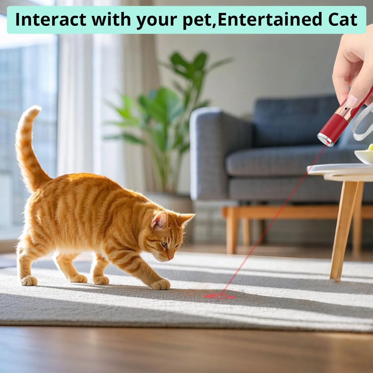 TBTeek Cat Toys for Indoor Cats, 2 Pieces, Rechargeable, 7 Adjustable Patterns, Interactive Kitten Pet Dog Chase Toy for Cats Fun Playing ExerciseRed