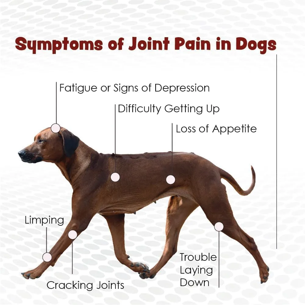 TS Joint Supplement Vet Formulated Pain & Inflammation Relief Treats Hip Dysplasia & Arthritis, Glucosamine, Chondroitin, Turmeric, MSM, HA, Creatine, Omega 3 EPA   DHA.120 Soft Chews