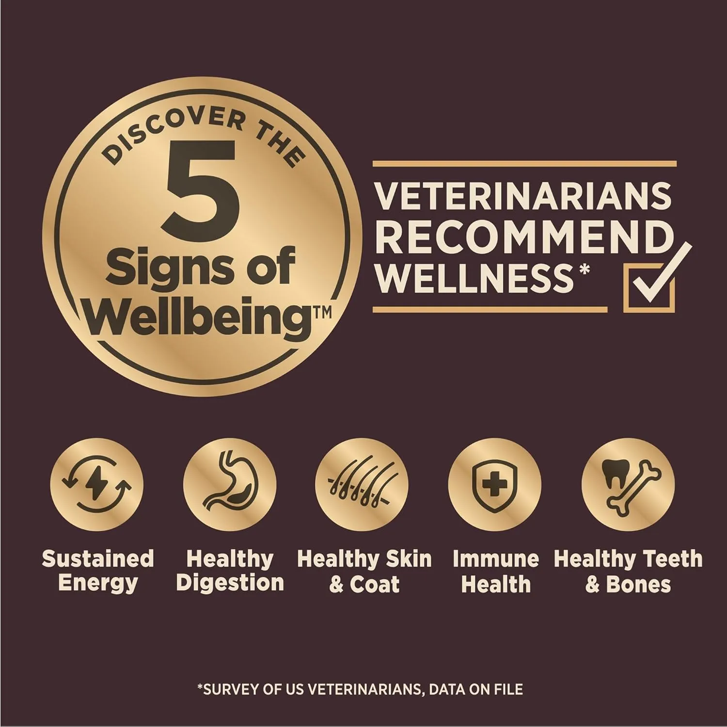 Wellness CORE Digestive Health Puppy Dry Dog Food, Wholesome Grains, Natural, Recipe for Dogs with Sensitive Stomachs, Recipe, (24-Pound Bag)