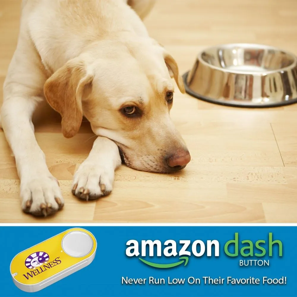 Wellness Simple Limited Ingredient Dry Dog Food for Sensitive Stomachs, Supports Skin & Coat, Grain Free, Natural, Healthy Weight Salmon & Peas Recipe, (24-Pound Bag)