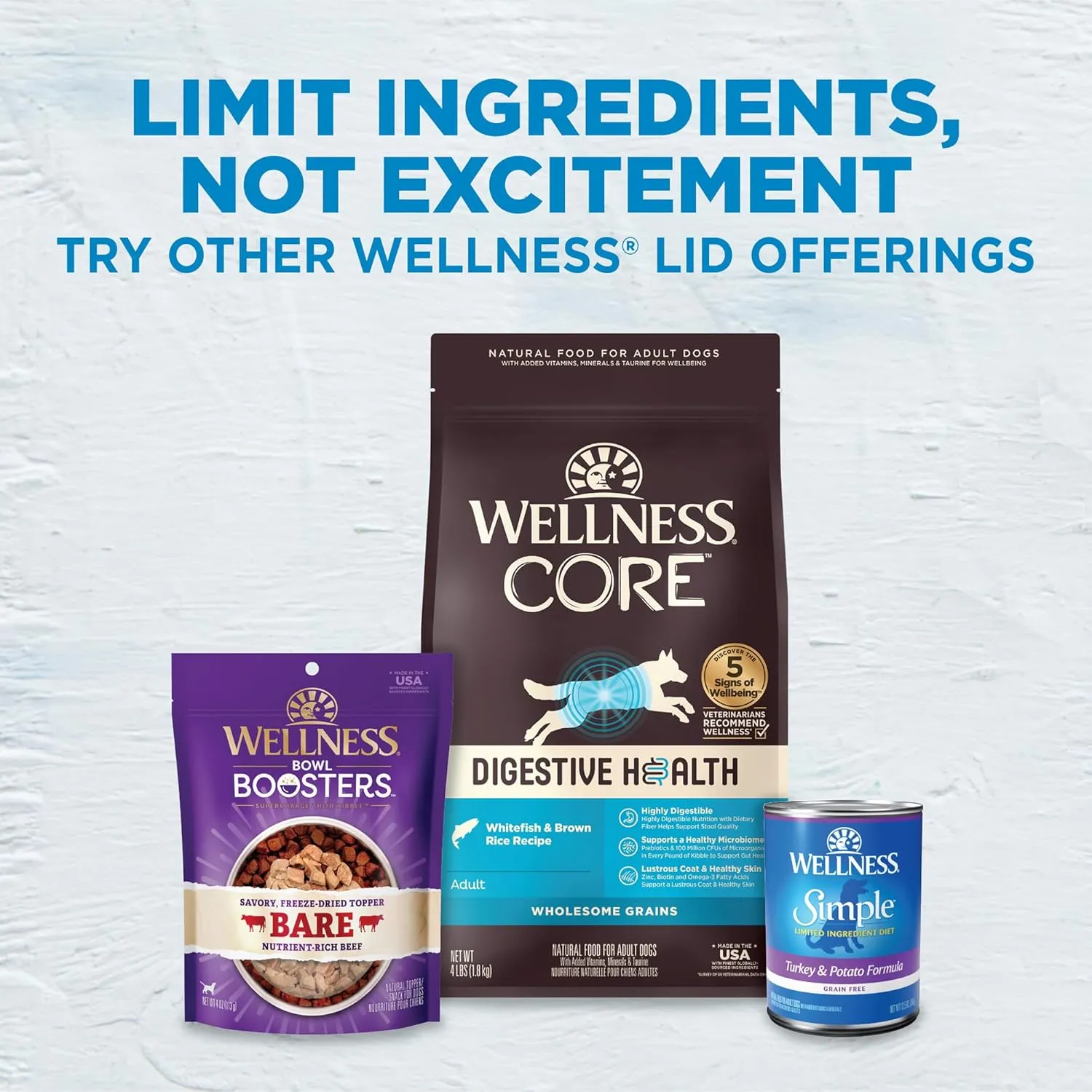 Wellness Simple Limited Ingredient Dry Dog Food for Sensitive Stomachs, Supports Skin & Coat, Grain Free, Natural, Healthy Weight Salmon & Peas Recipe, (24-Pound Bag)