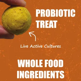 Whole Life Pet Human Grade Probiotic Dog Treats - Pumpkin & Yogurt  Easy Digestion, Firmer Stool, Sensitive Stomachs - Made in The USA (Pack of 2)