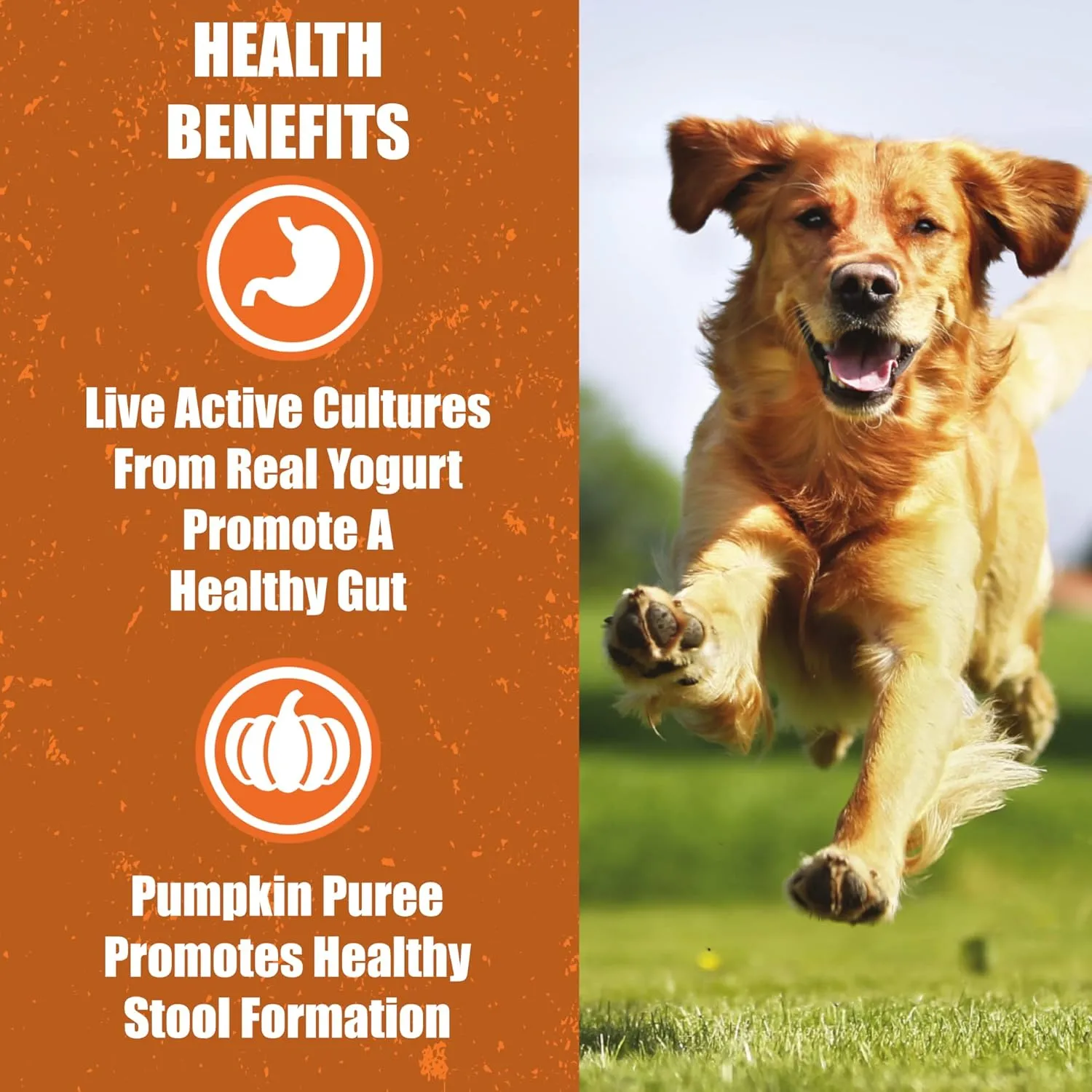 Whole Life Pet Human Grade Probiotic Dog Treats - Pumpkin & Yogurt  Easy Digestion, Firmer Stool, Sensitive Stomachs - Made in The USA (Pack of 2)