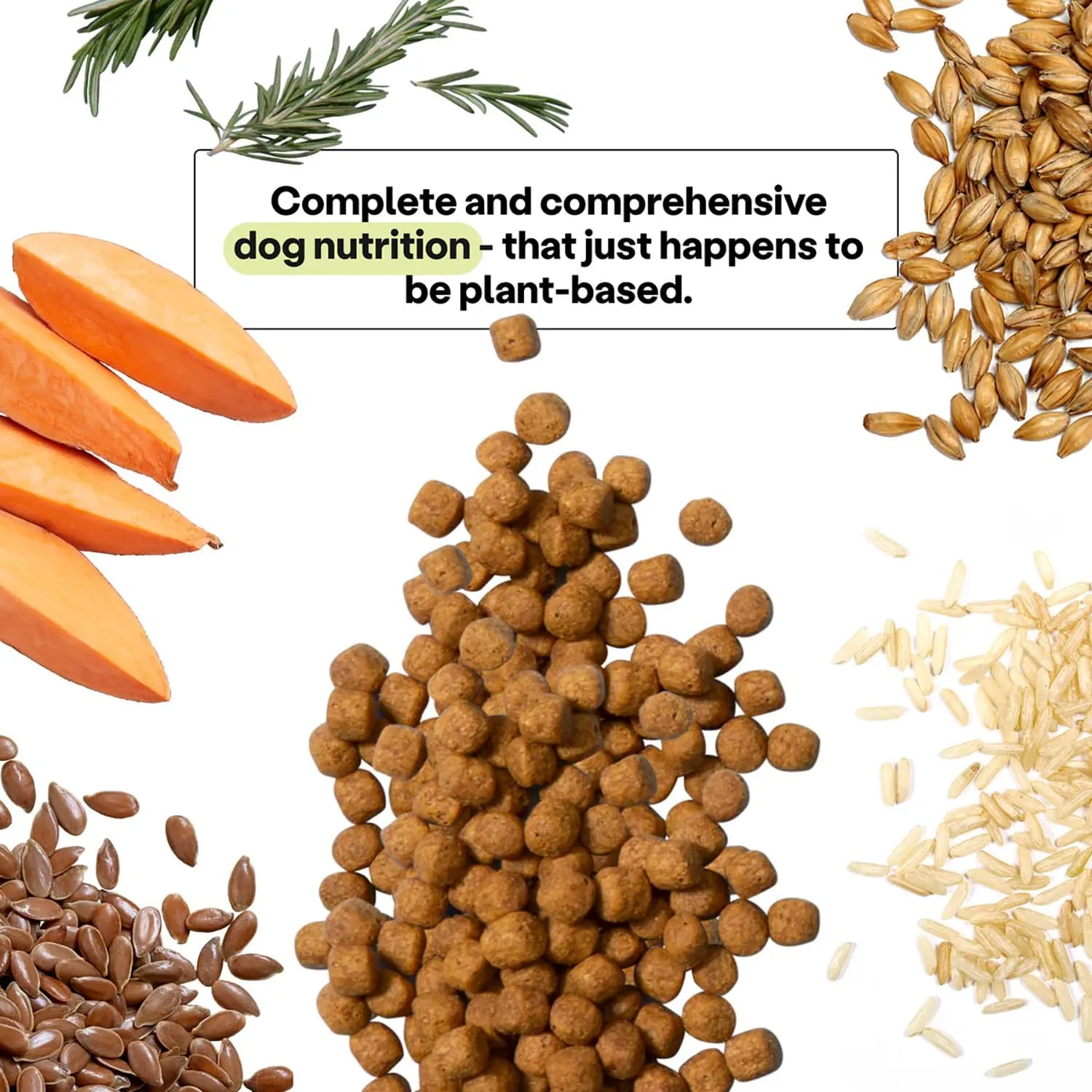 Wild Earth Vegan Dry Dog Food | Plant-Based Maintenance Formula | Vegetarian, Allergy Relief, Veterinarian-Developed for Complete Nutrition | Golden Rotisserie Flavor, 4 Pound Bag