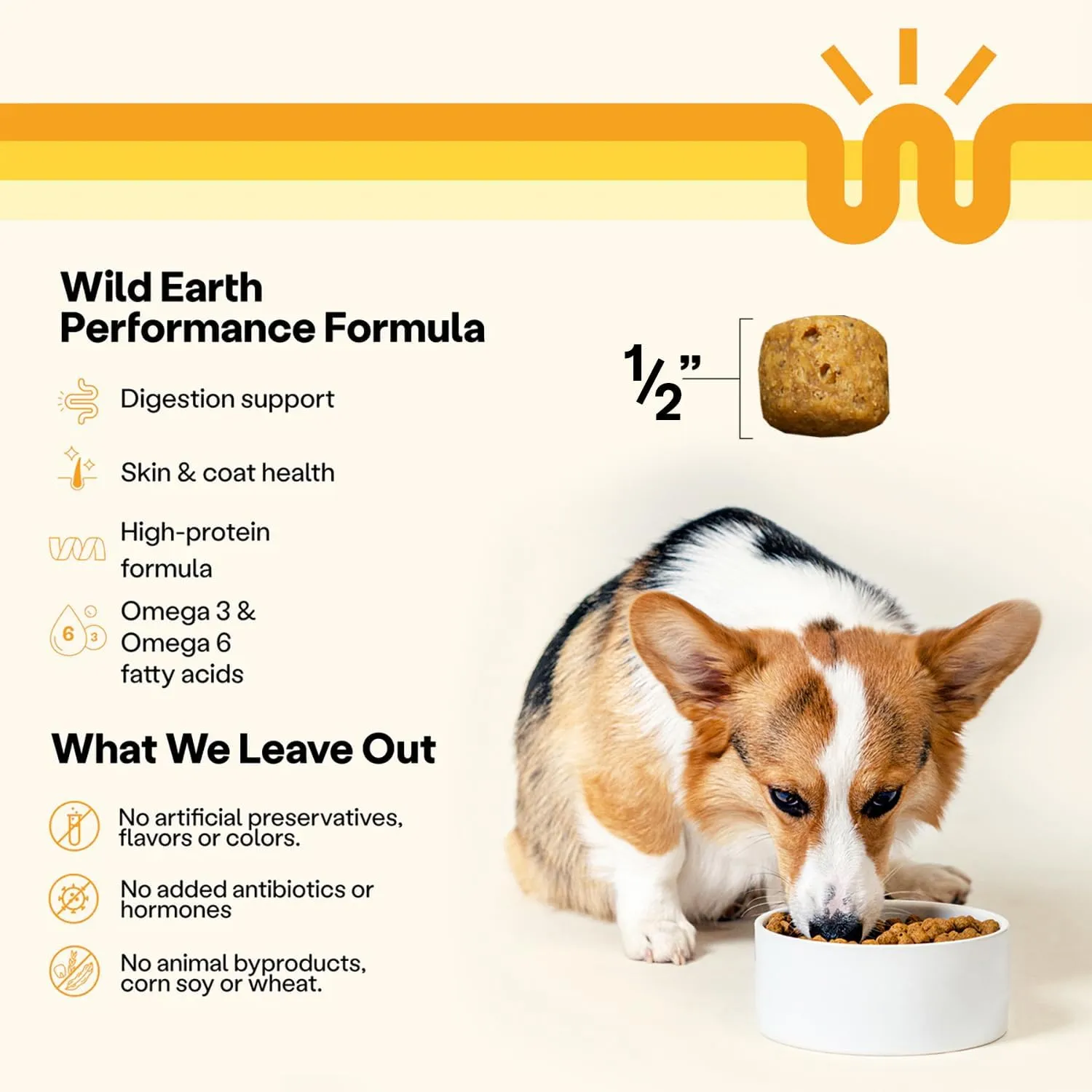 Wild Earth Vegan Dry Dog Food | Plant-Based Maintenance Formula | Vegetarian, Allergy Relief, Veterinarian-Developed for Complete Nutrition | Golden Rotisserie Flavor, 4 Pound Bag