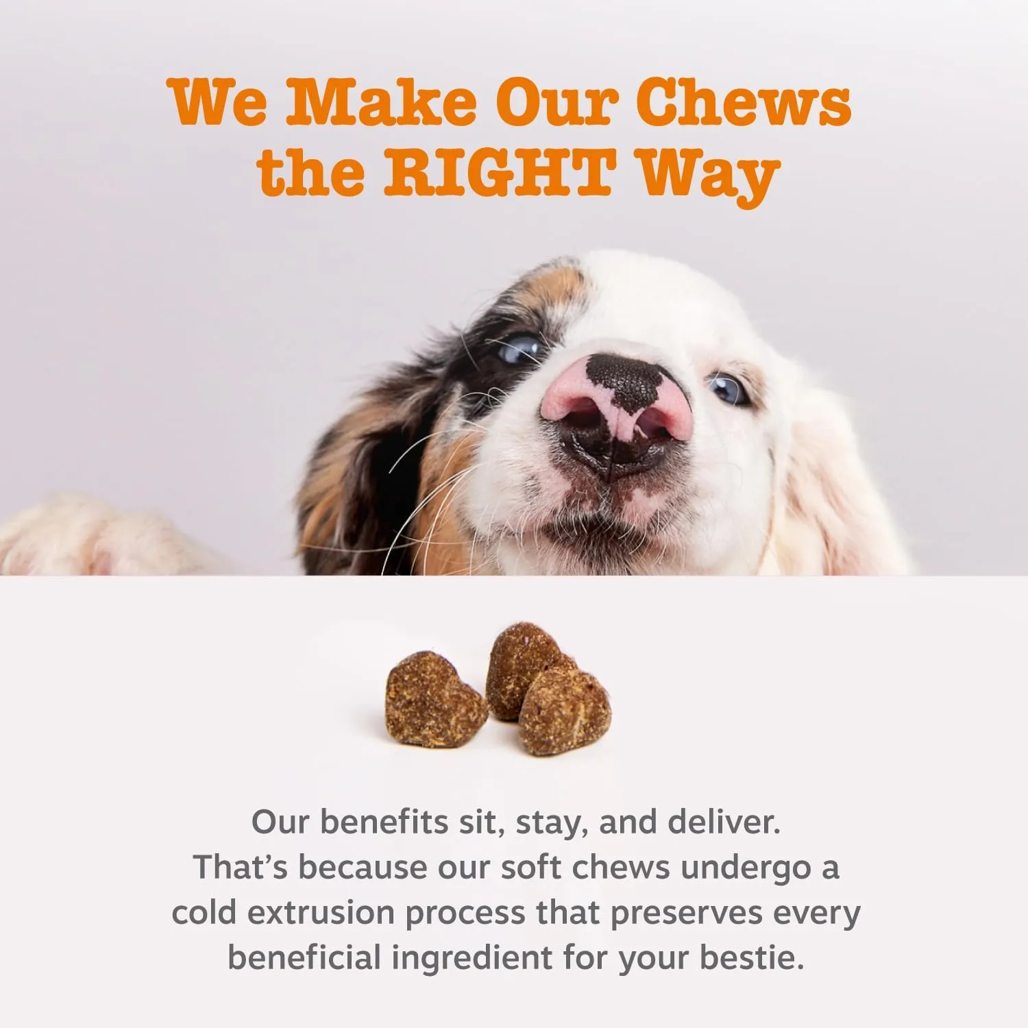 Zesty Paws Dog Allergy Relief- Dog Itching Skin Relief- Dog Probiotics for Itchy Skin and Itchy Ears- Dog Allergy Paw Relief- Dog Allergy Chews- Dog Itch Relief - Dog Skin Allergy Relief - PB - 90ct