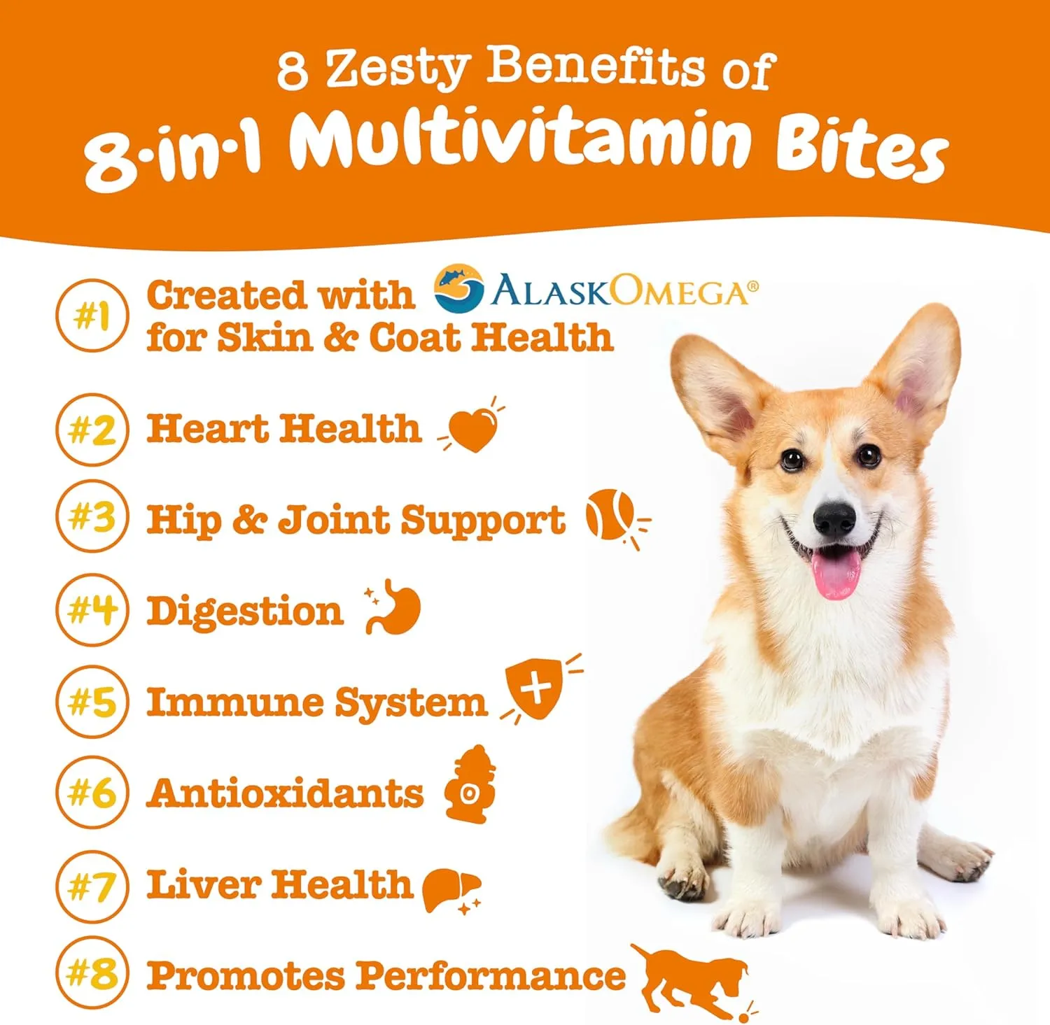 Zesty Paws Multivitamin Treats for Dogs - Glucosamine Chondroitin for Joint Support   Digestive Enzymes & Probiotics - Grain Free Dog Vitamin for Skin & Coat   Immune Health - Chicken Flavor - 90ct