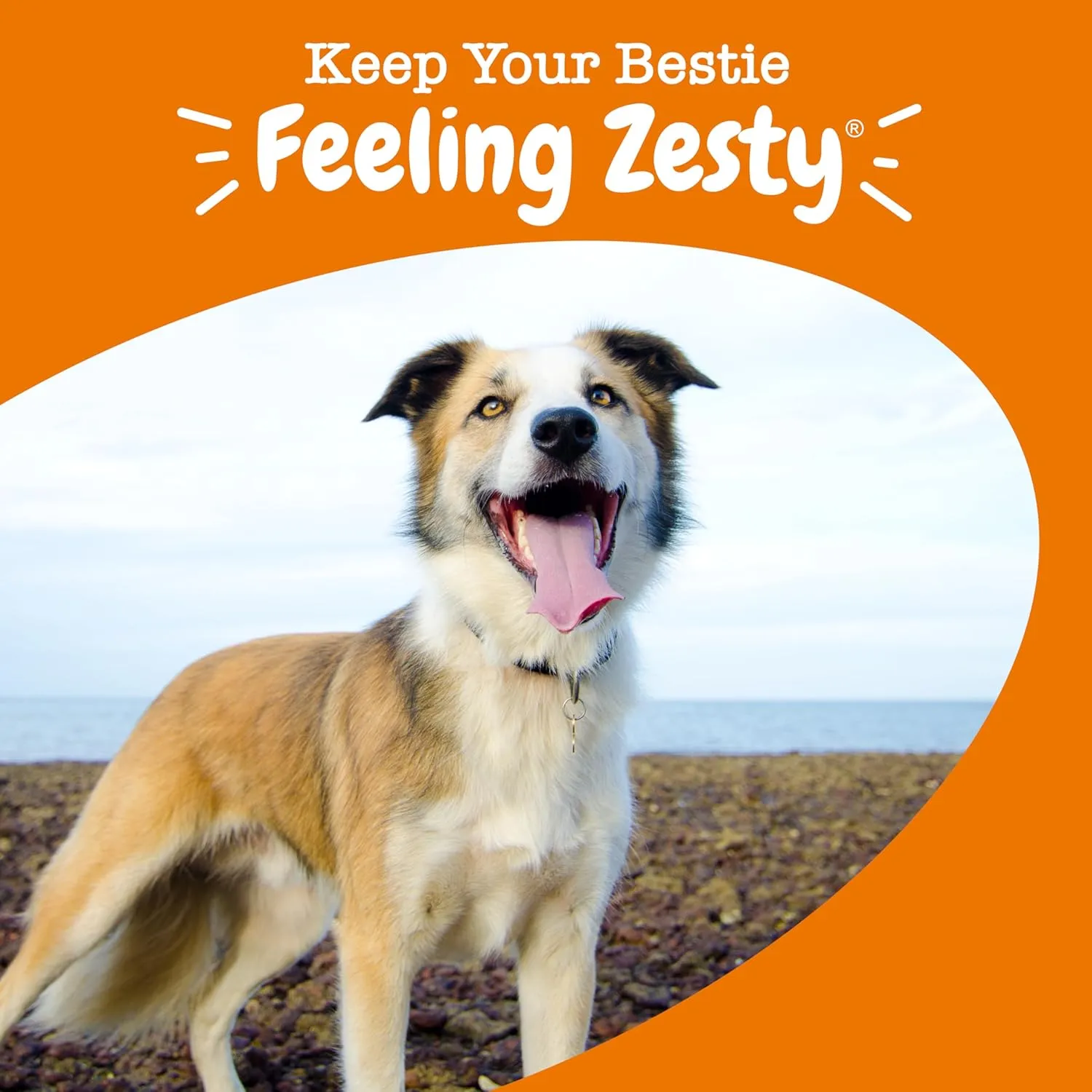 Zesty Paws Multivitamin Treats for Dogs - Glucosamine Chondroitin for Joint Support   Digestive Enzymes & Probiotics - Grain Free Dog Vitamin for Skin & Coat   Immune Health - Chicken Flavor - 90ct